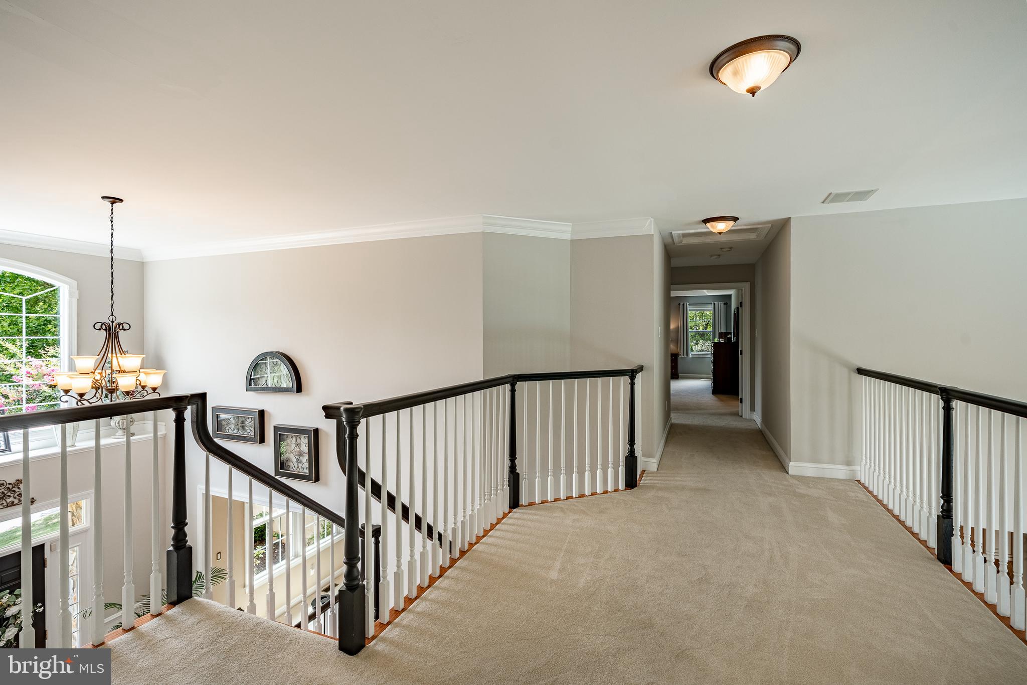 STEEPLECHASE - Residential