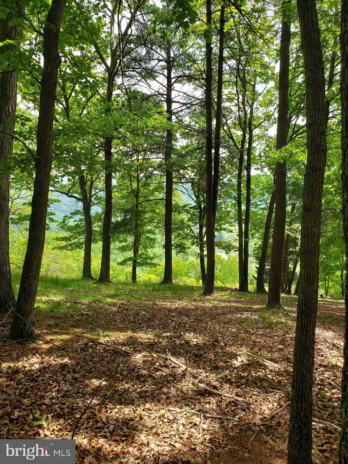 RIVER BEND - Residential