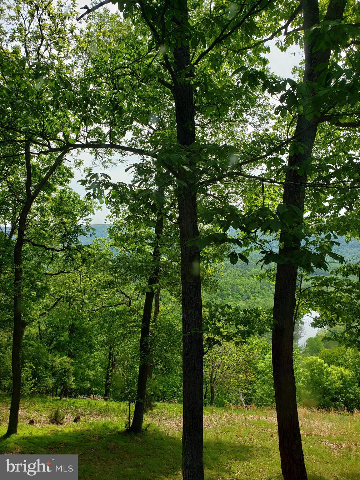 RIVER BEND - Residential