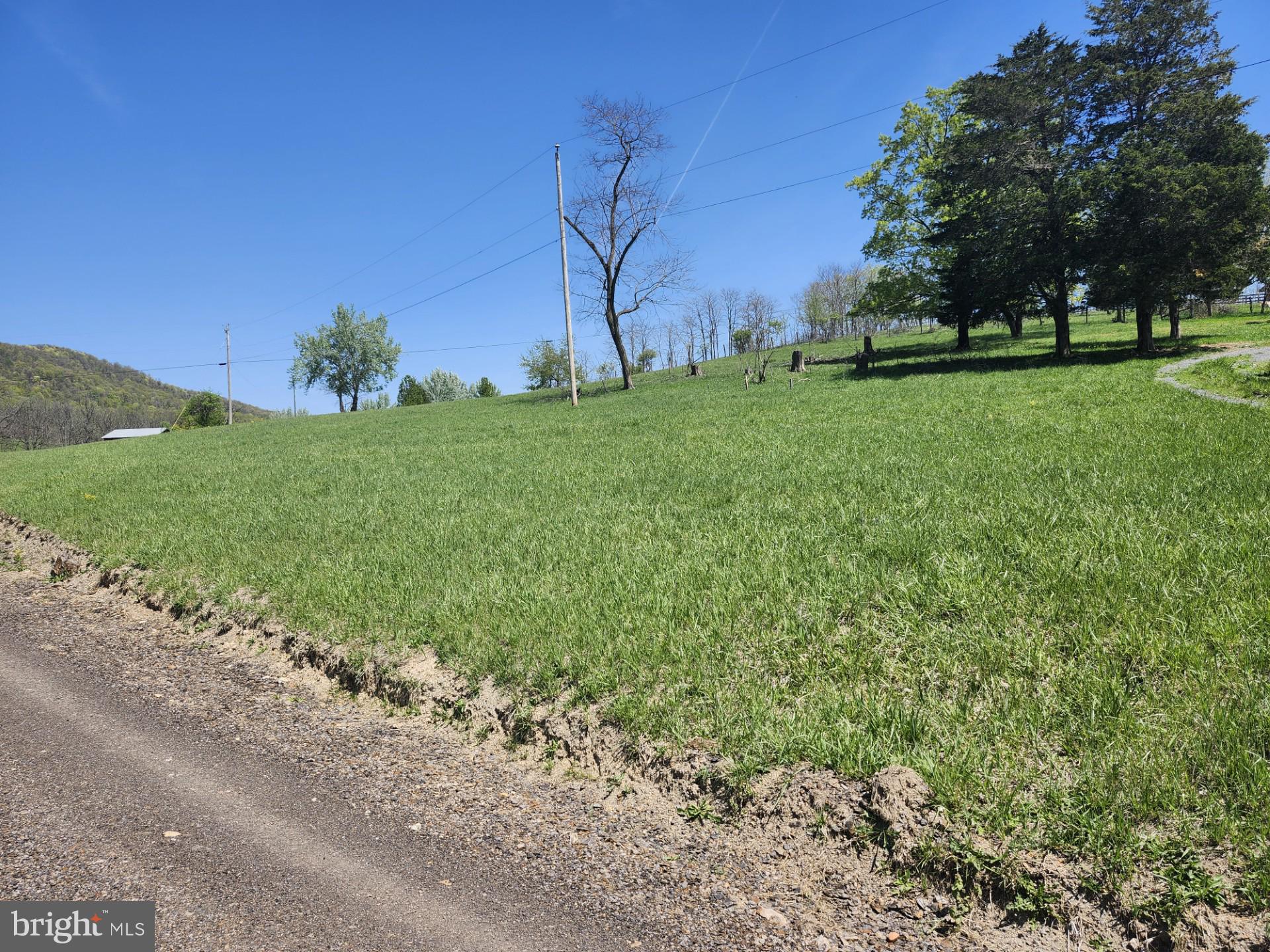 NONE AVAILABLE - Farm