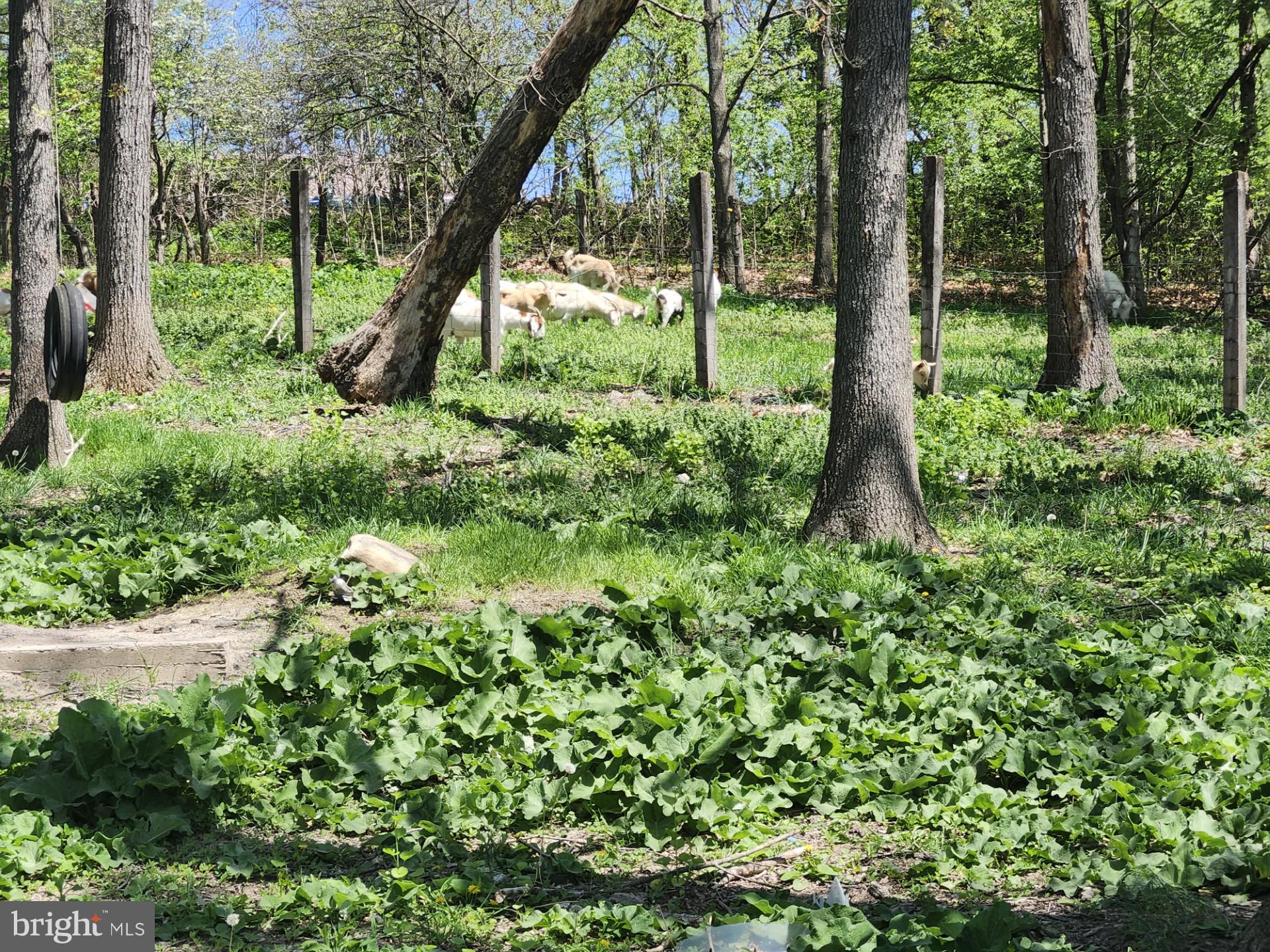 NONE AVAILABLE - Farm