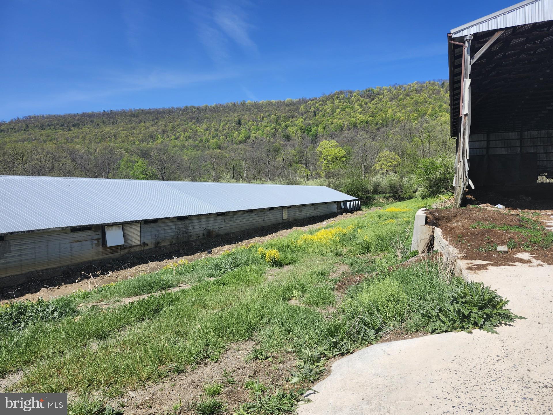 NONE AVAILABLE - Farm