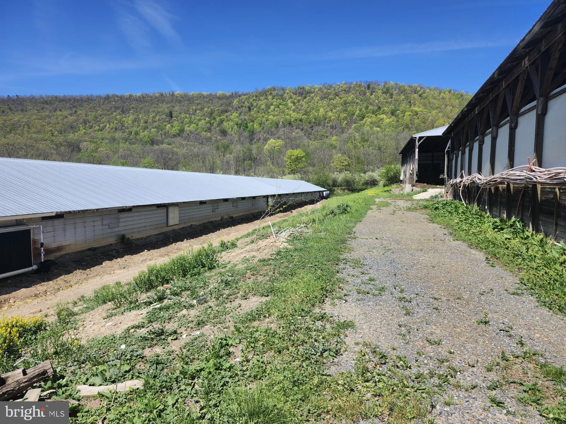 NONE AVAILABLE - Farm