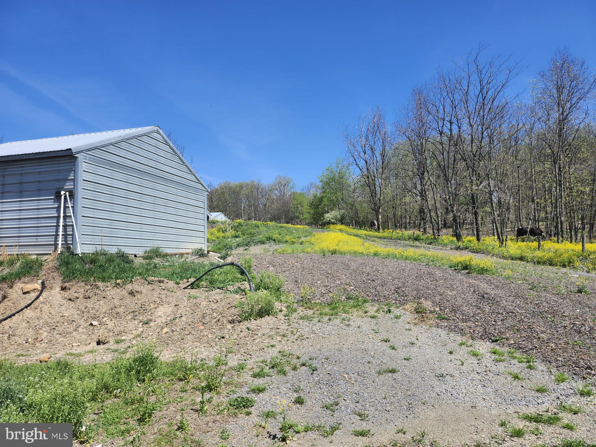 NONE AVAILABLE - Farm