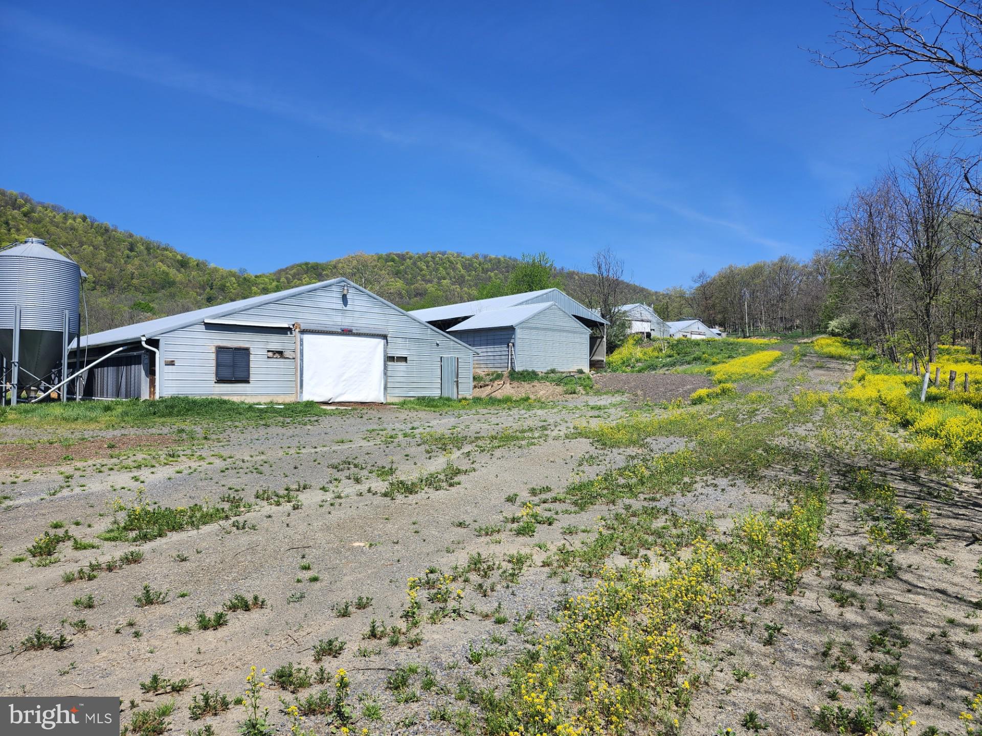 NONE AVAILABLE - Farm