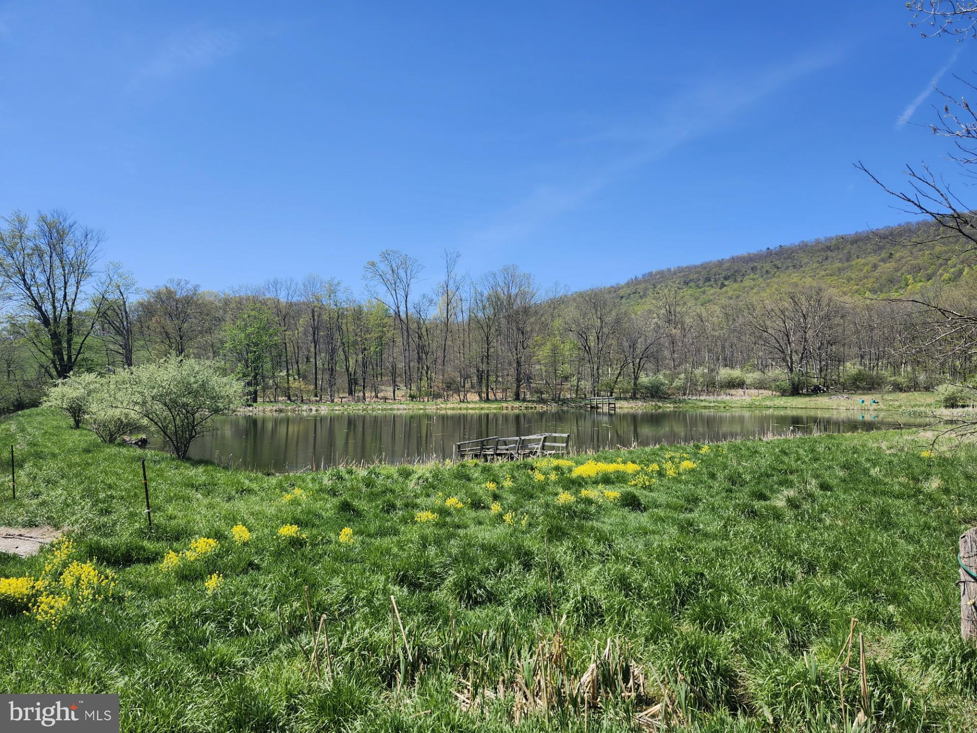 NONE AVAILABLE - Farm