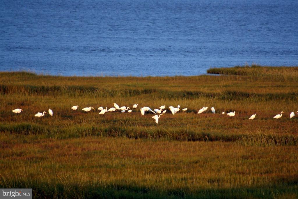 SNUG HARBOR - Residential
