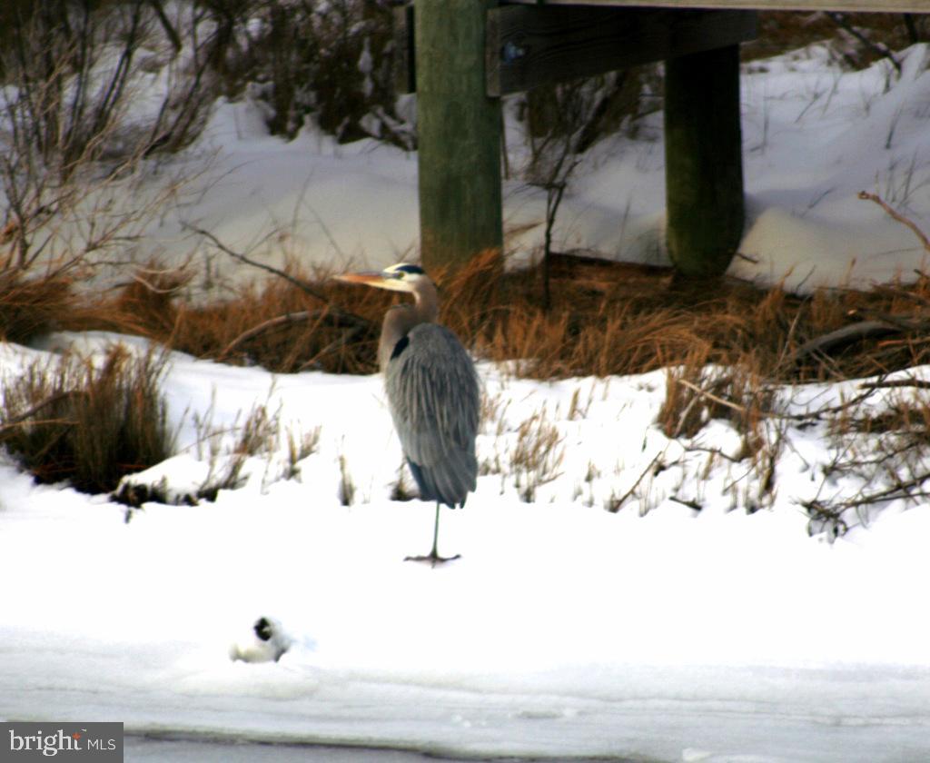 SNUG HARBOR - Residential