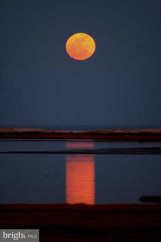 SNUG HARBOR - Residential