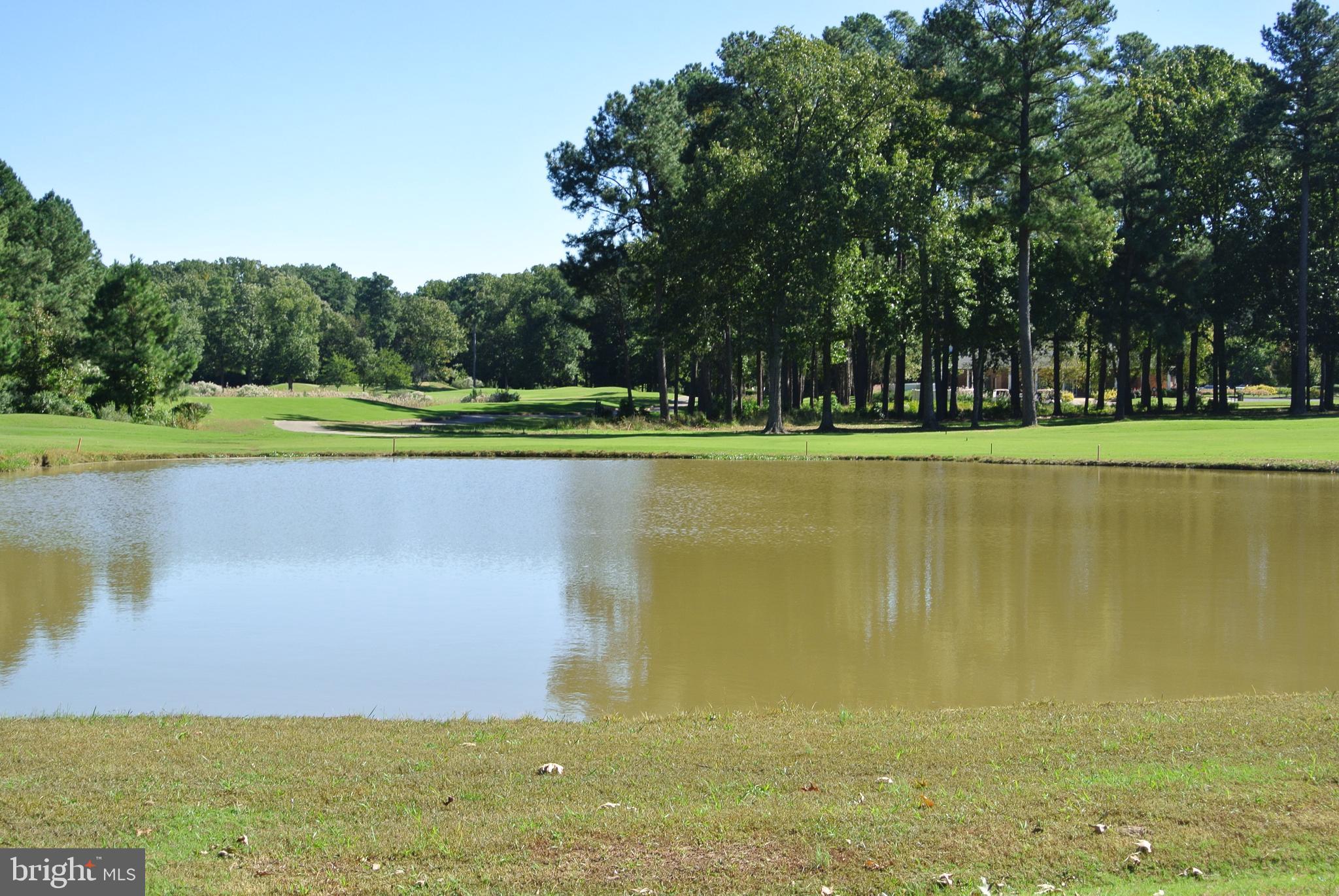 SWAN POINT - Residential