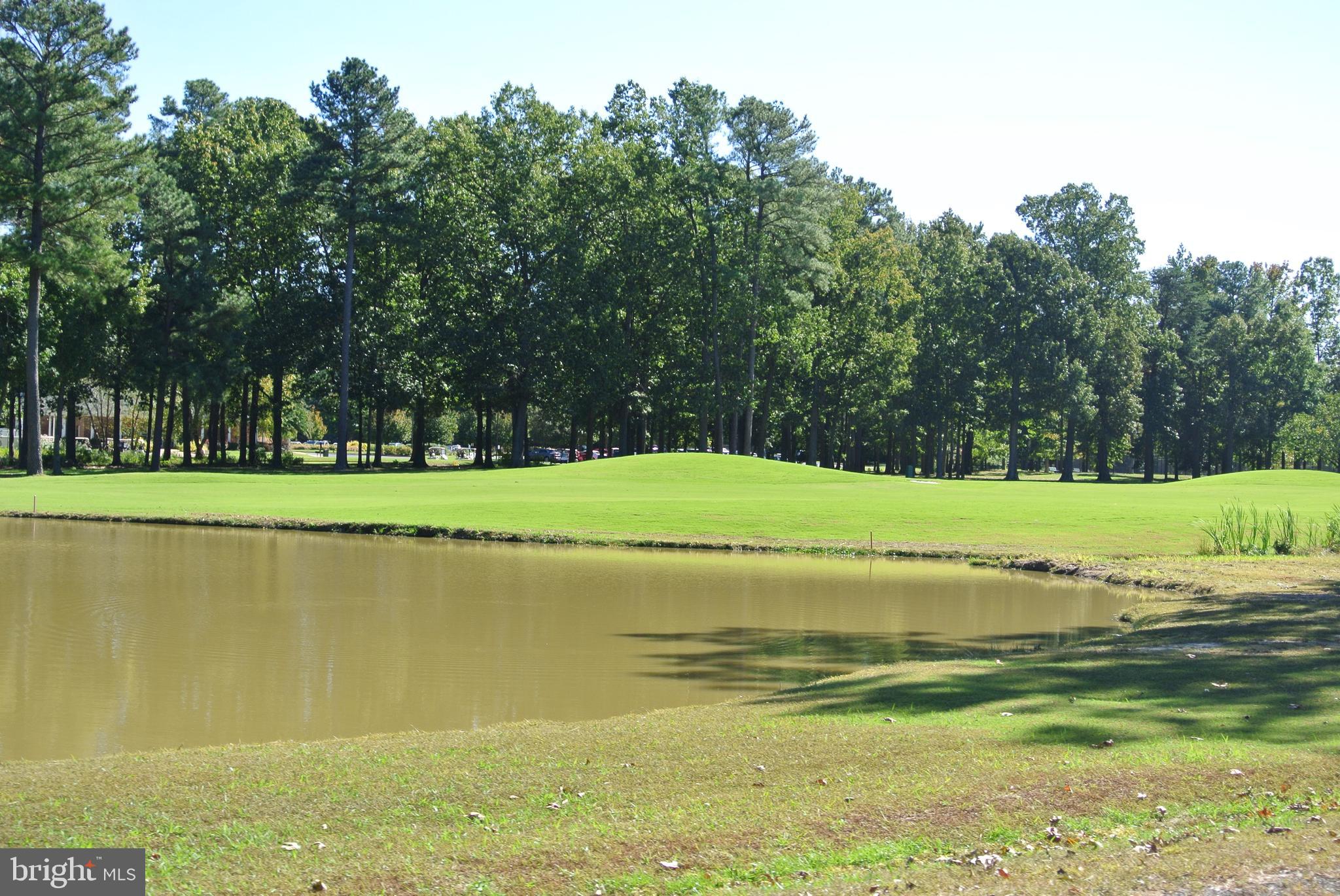 SWAN POINT - Residential