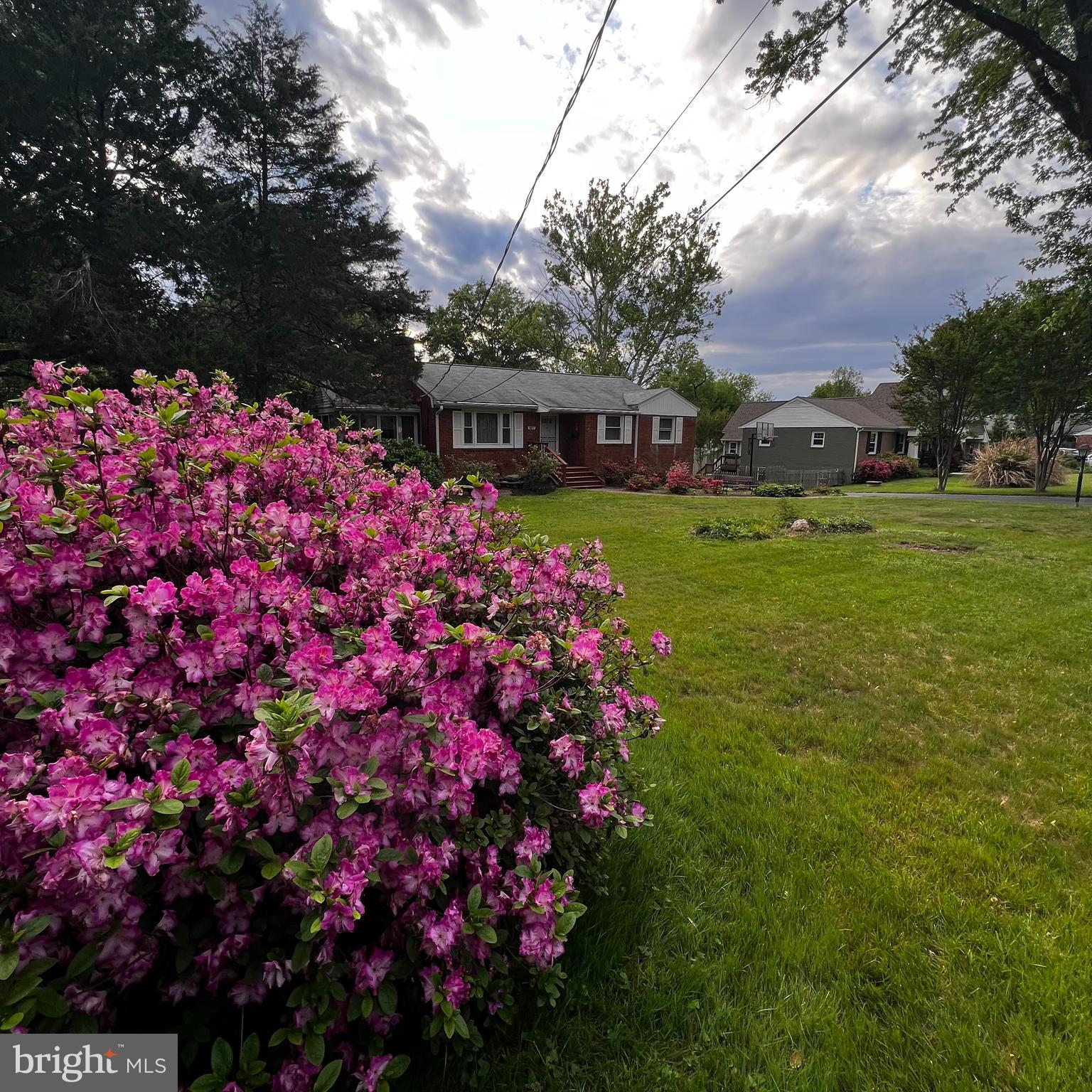 3817 ESTEL ROAD