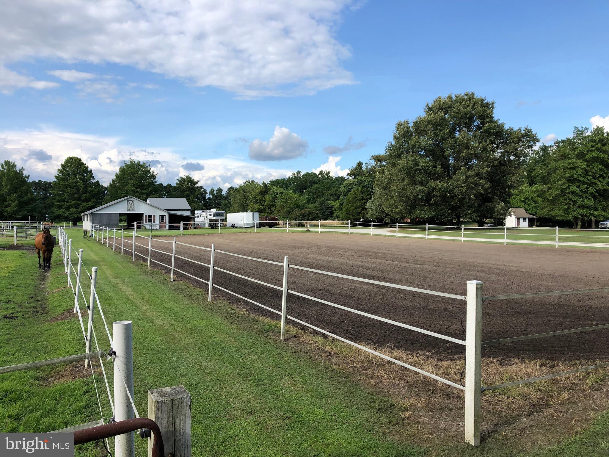 NONE AVAILABLE - Farm