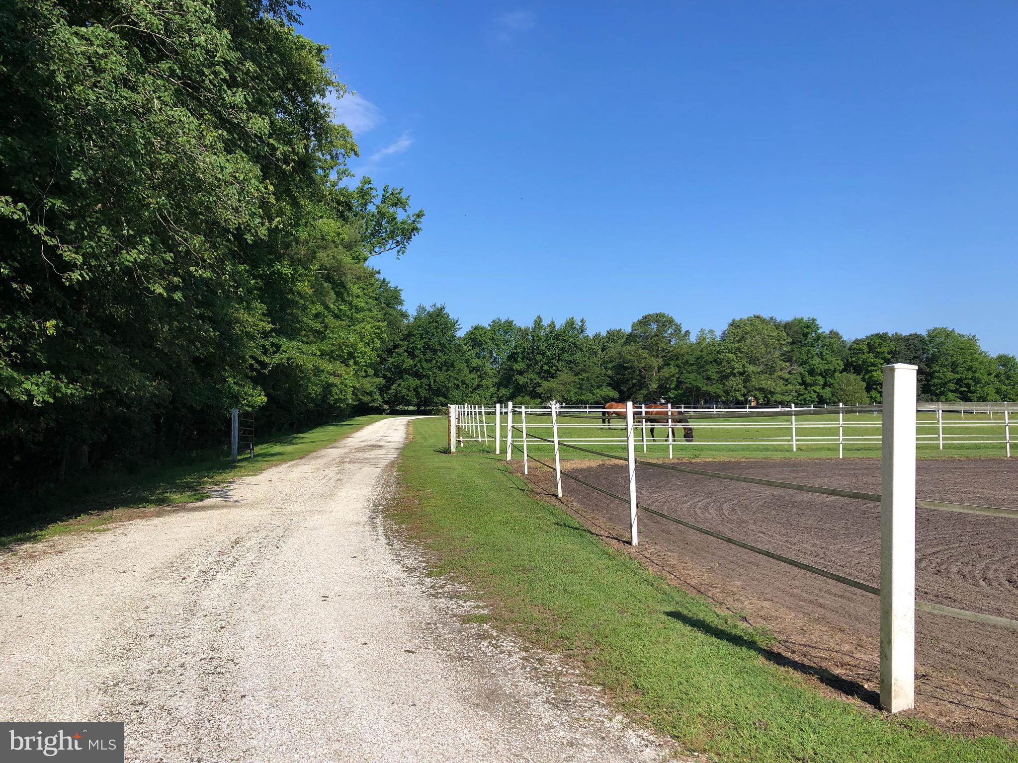 NONE AVAILABLE - Farm