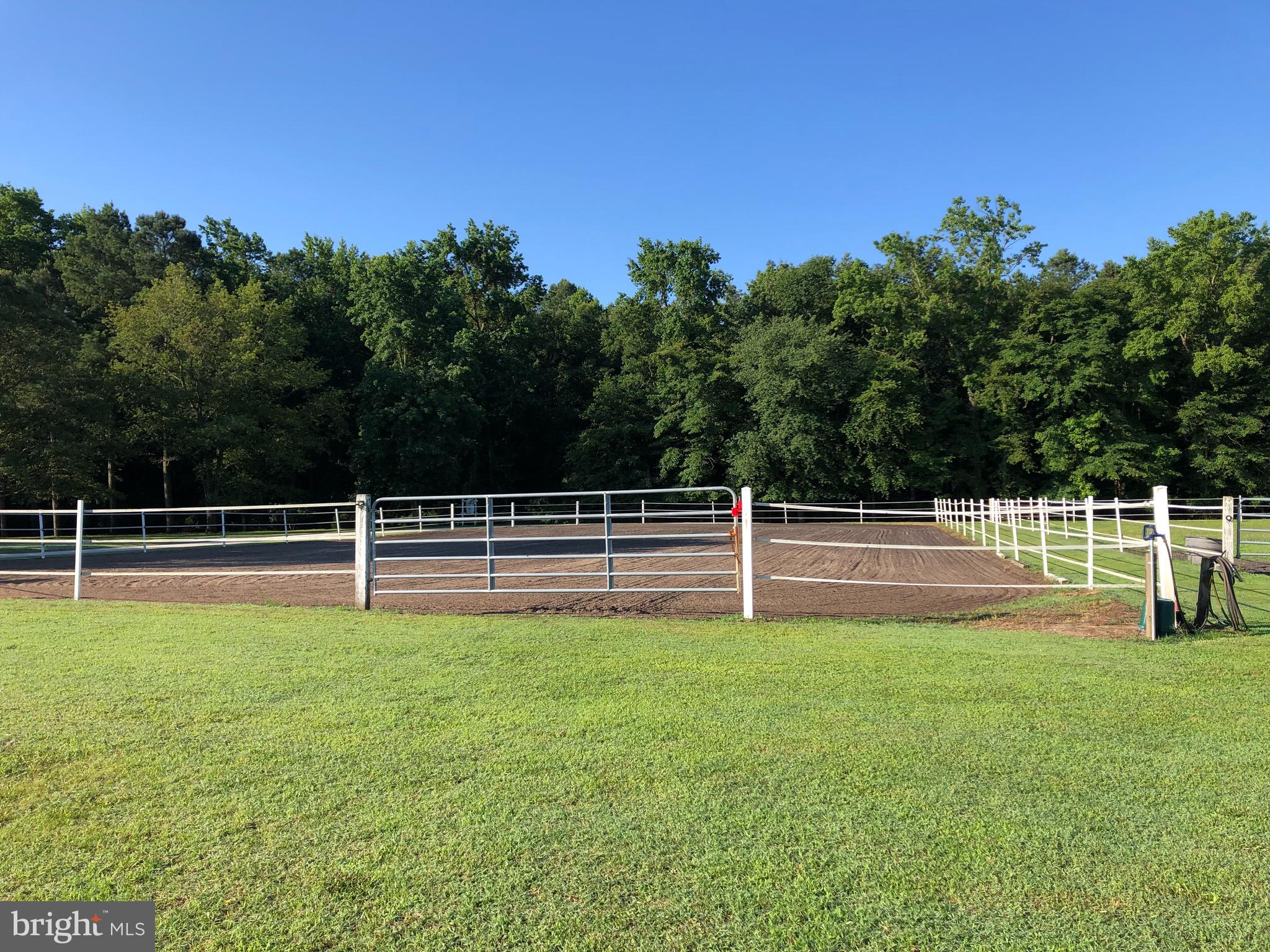 NONE AVAILABLE - Farm