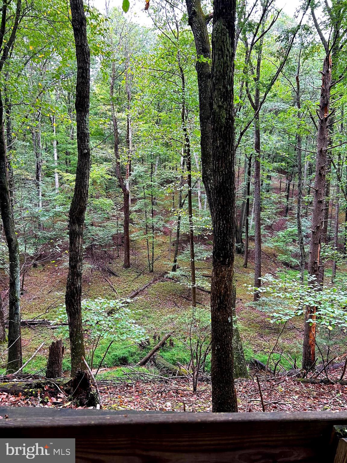 SLEEPY HOLLOW - Residential