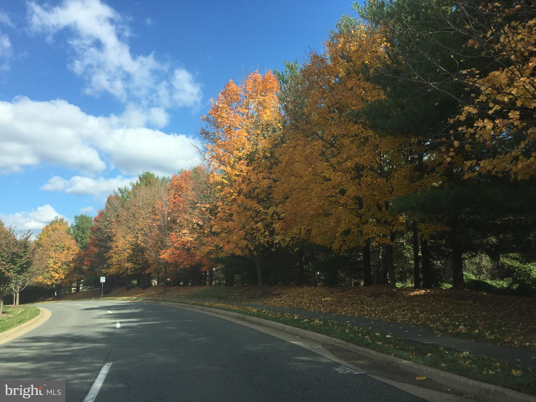 HAMPTON OAKS - Residential