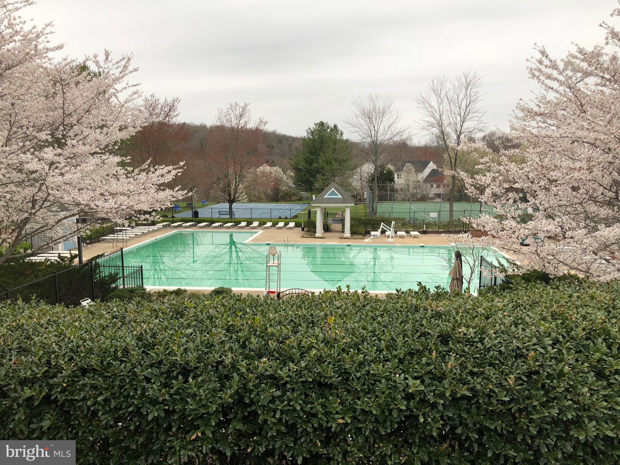 HAMPTON OAKS - Residential