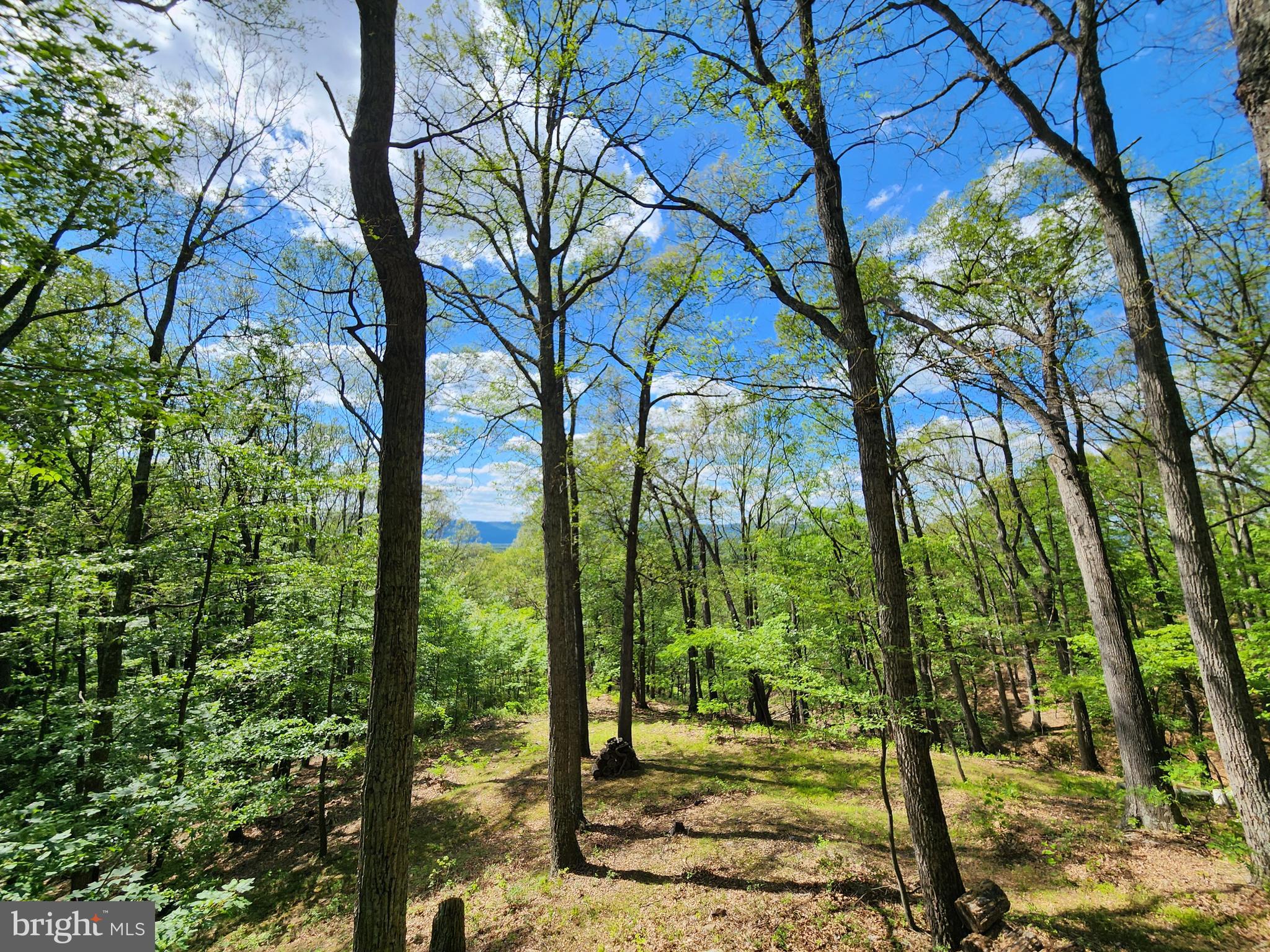 POTOMAC VALLEY VISTA - Residential