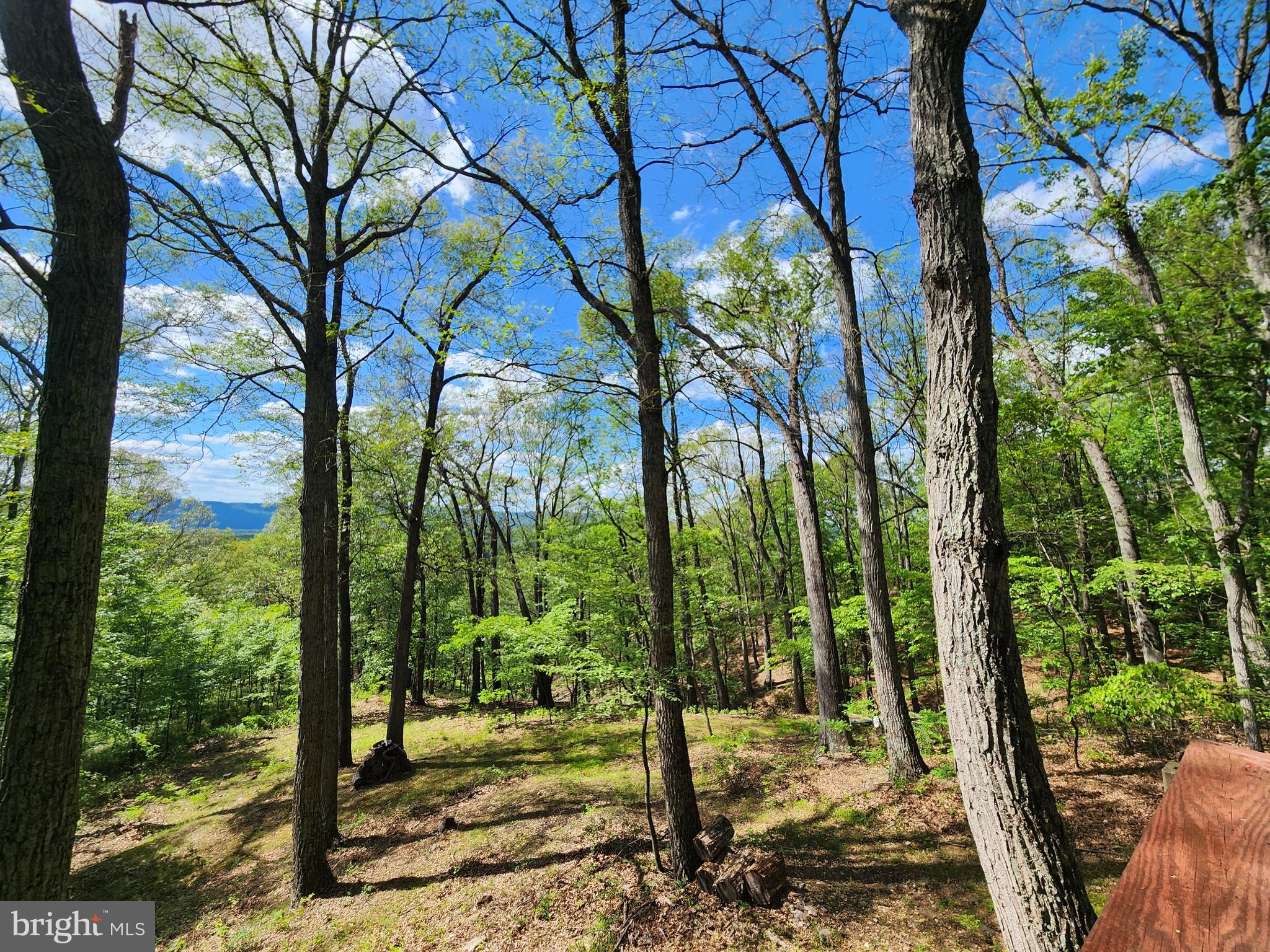 POTOMAC VALLEY VISTA - Residential