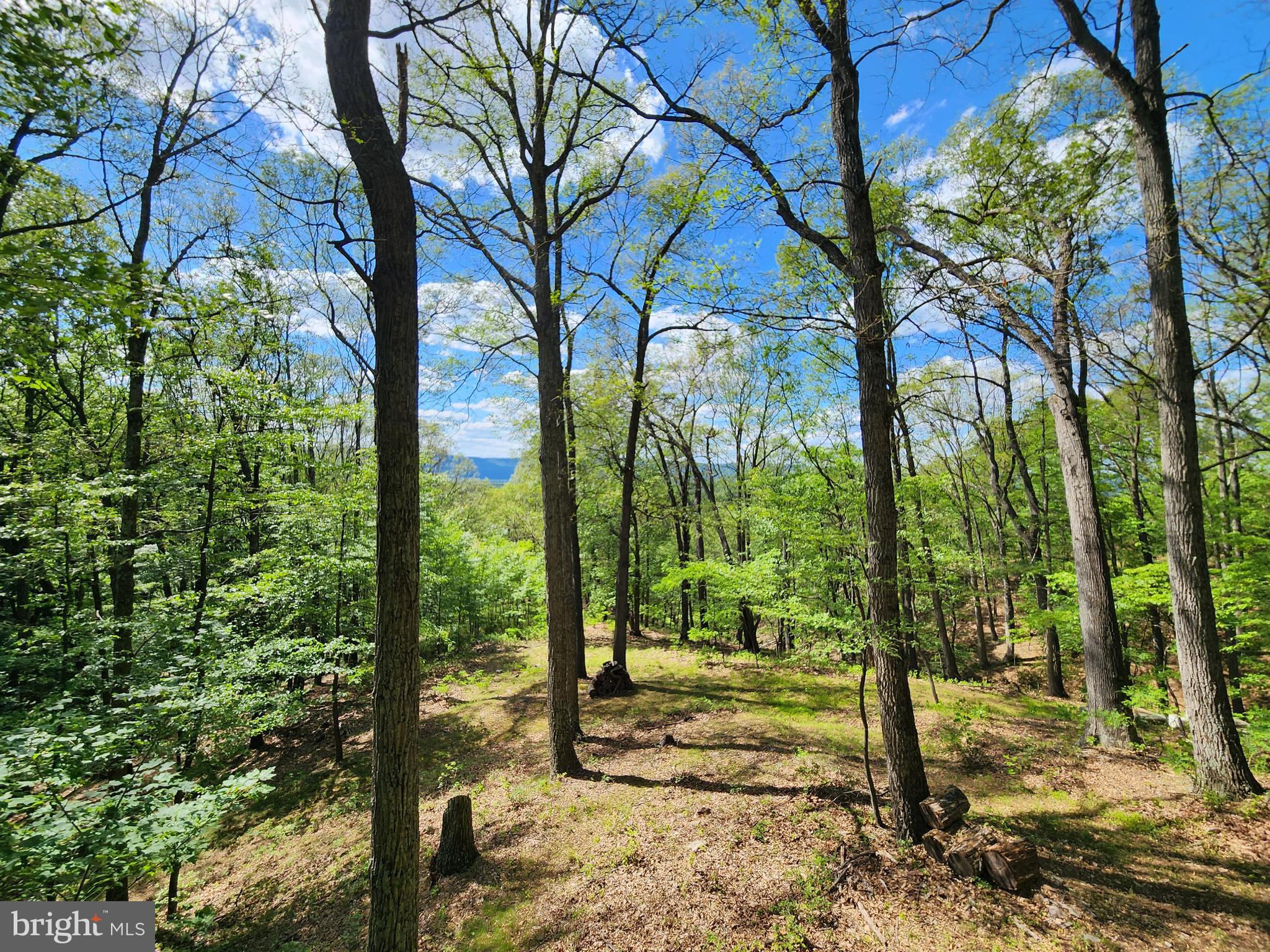POTOMAC VALLEY VISTA - Residential