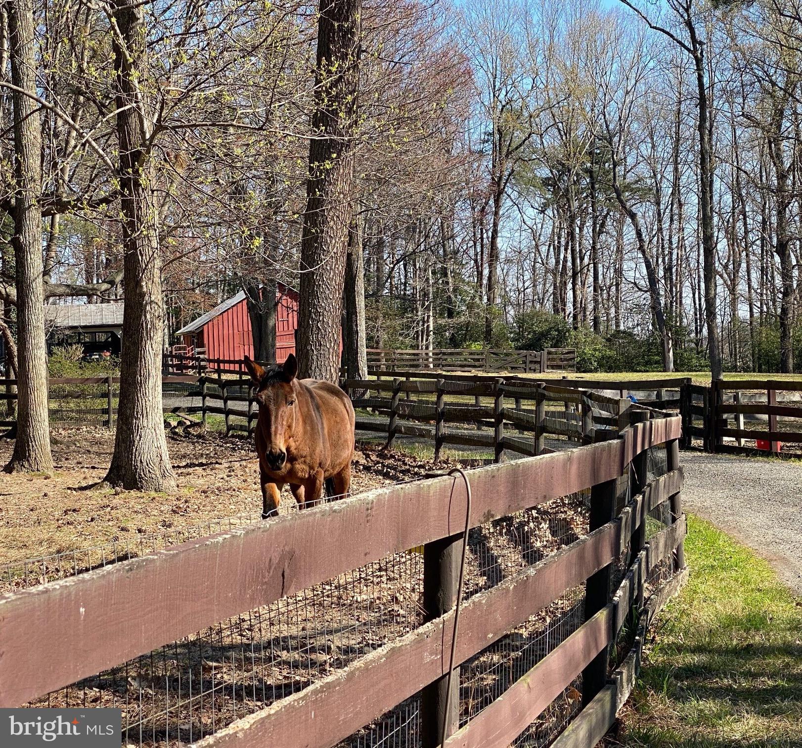 PARK CHESAPEAKE - Residential