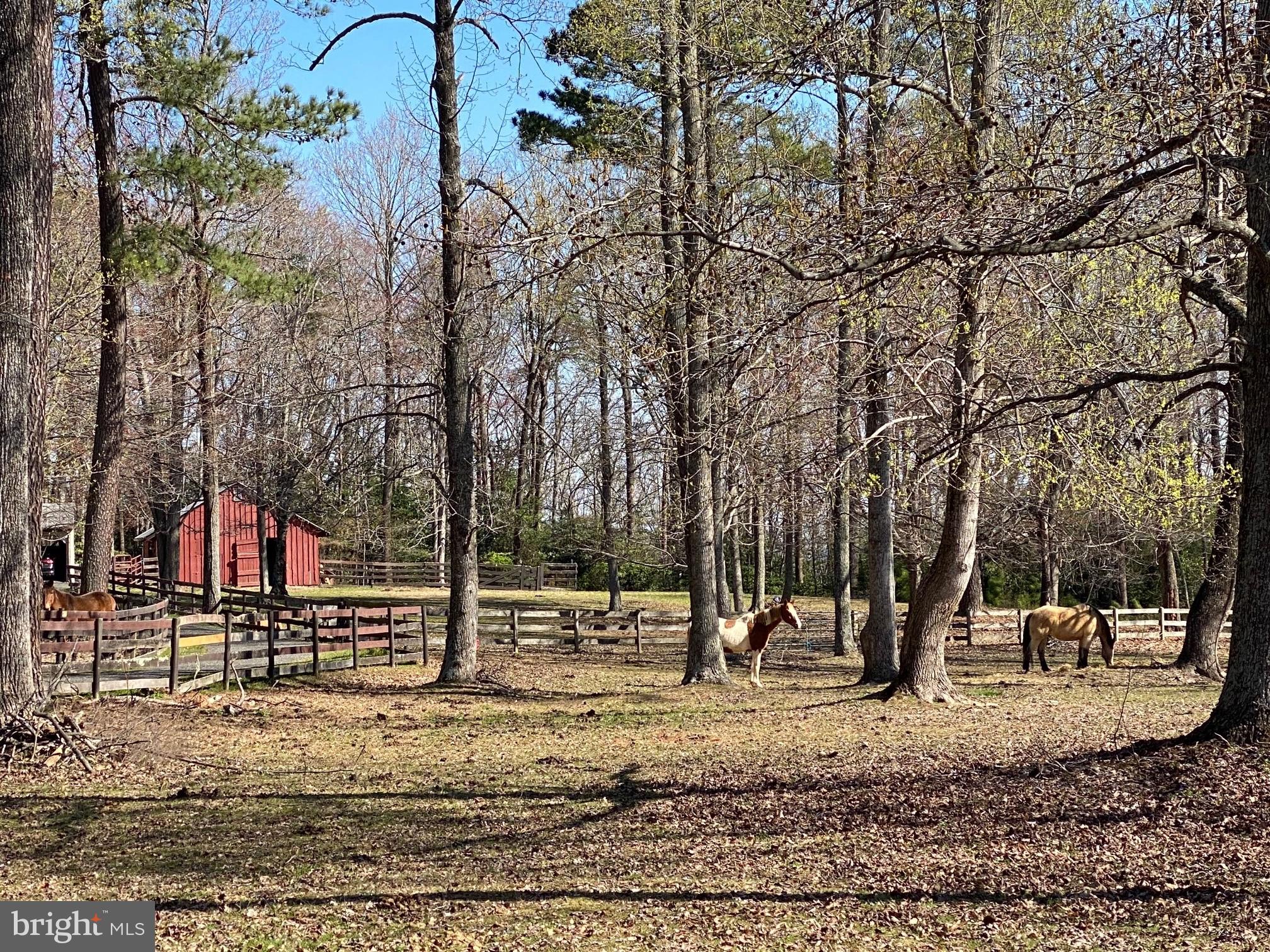 PARK CHESAPEAKE - Residential