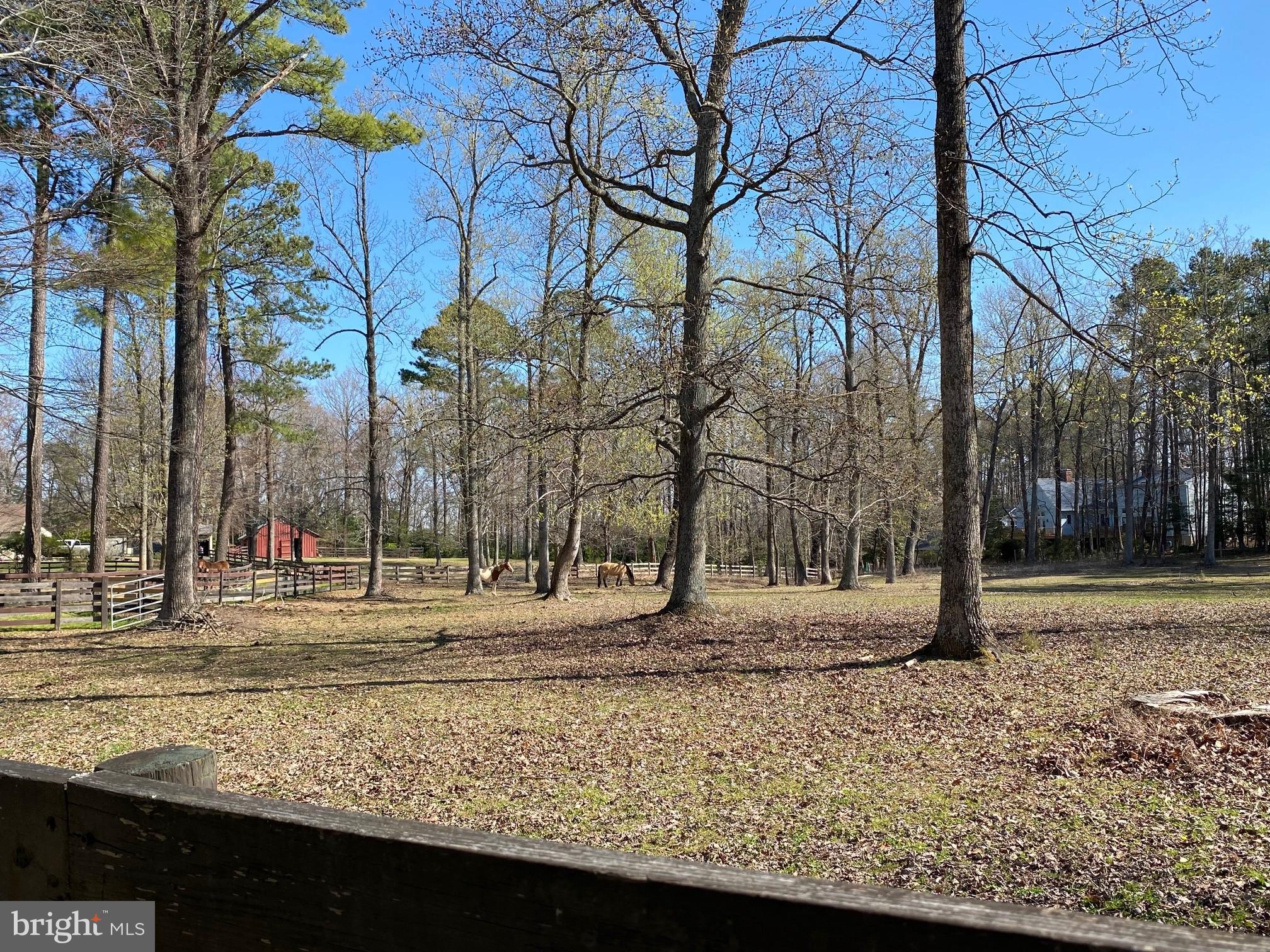 PARK CHESAPEAKE - Residential