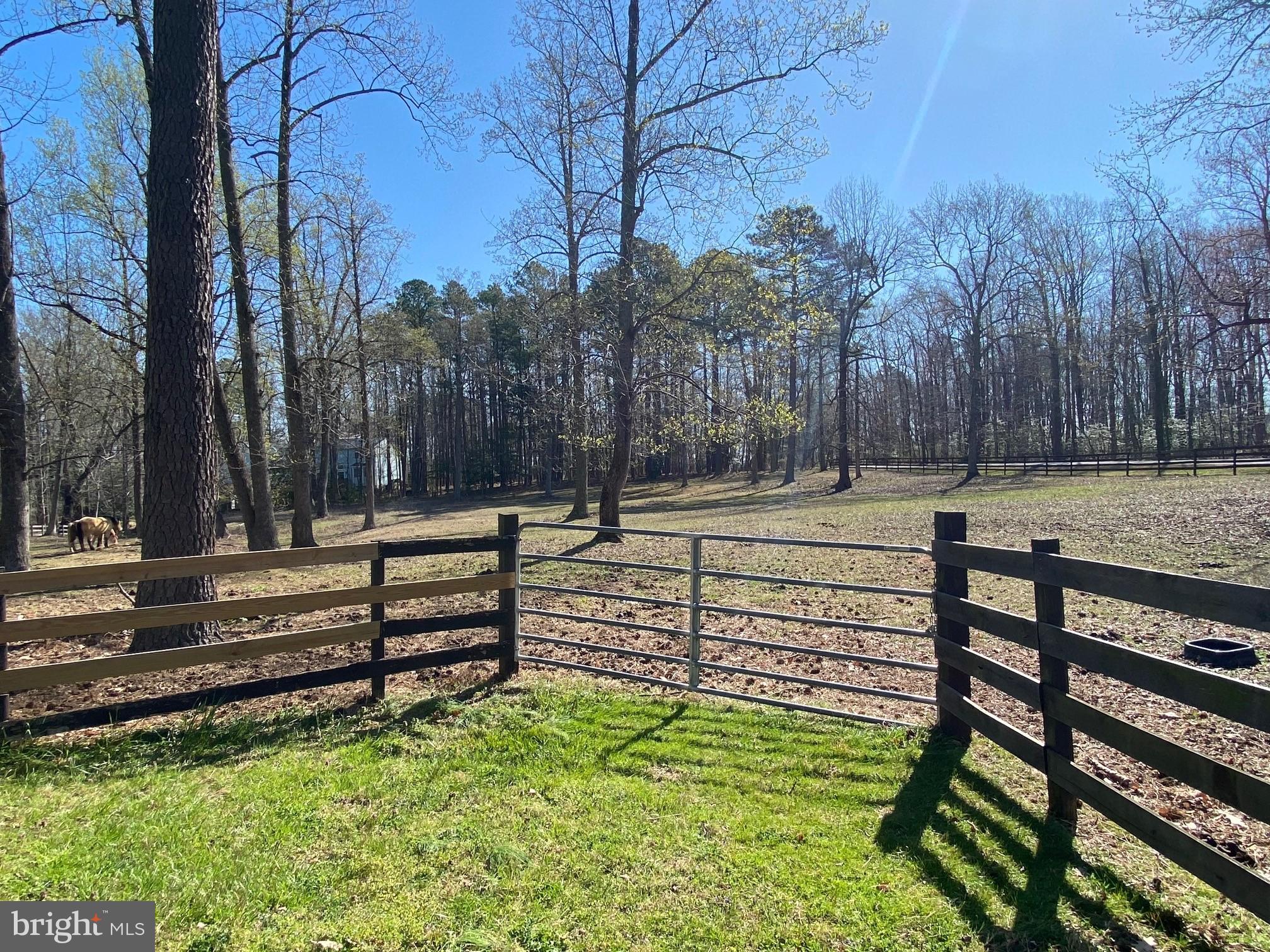 PARK CHESAPEAKE - Residential