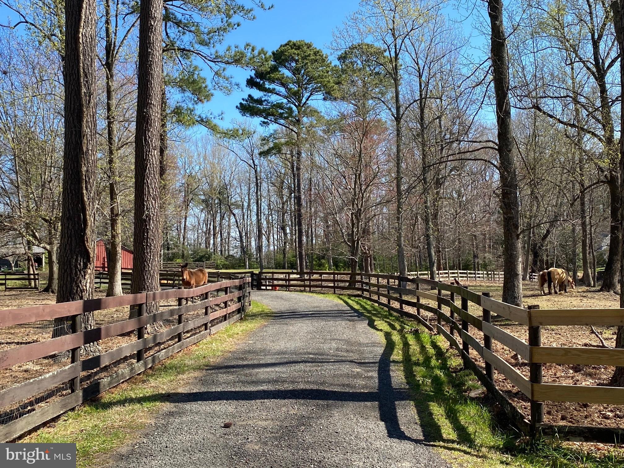 PARK CHESAPEAKE - Residential