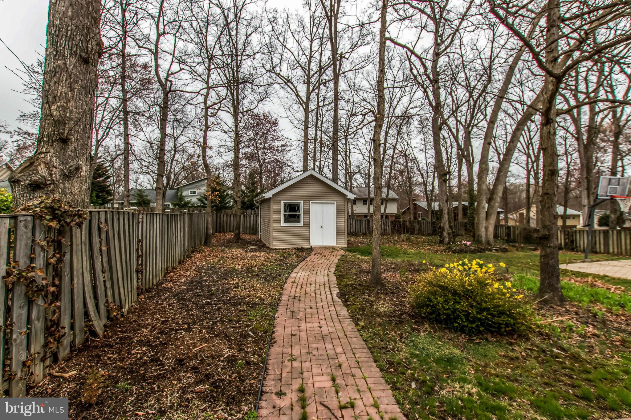 CARDINAL FOREST - Farm