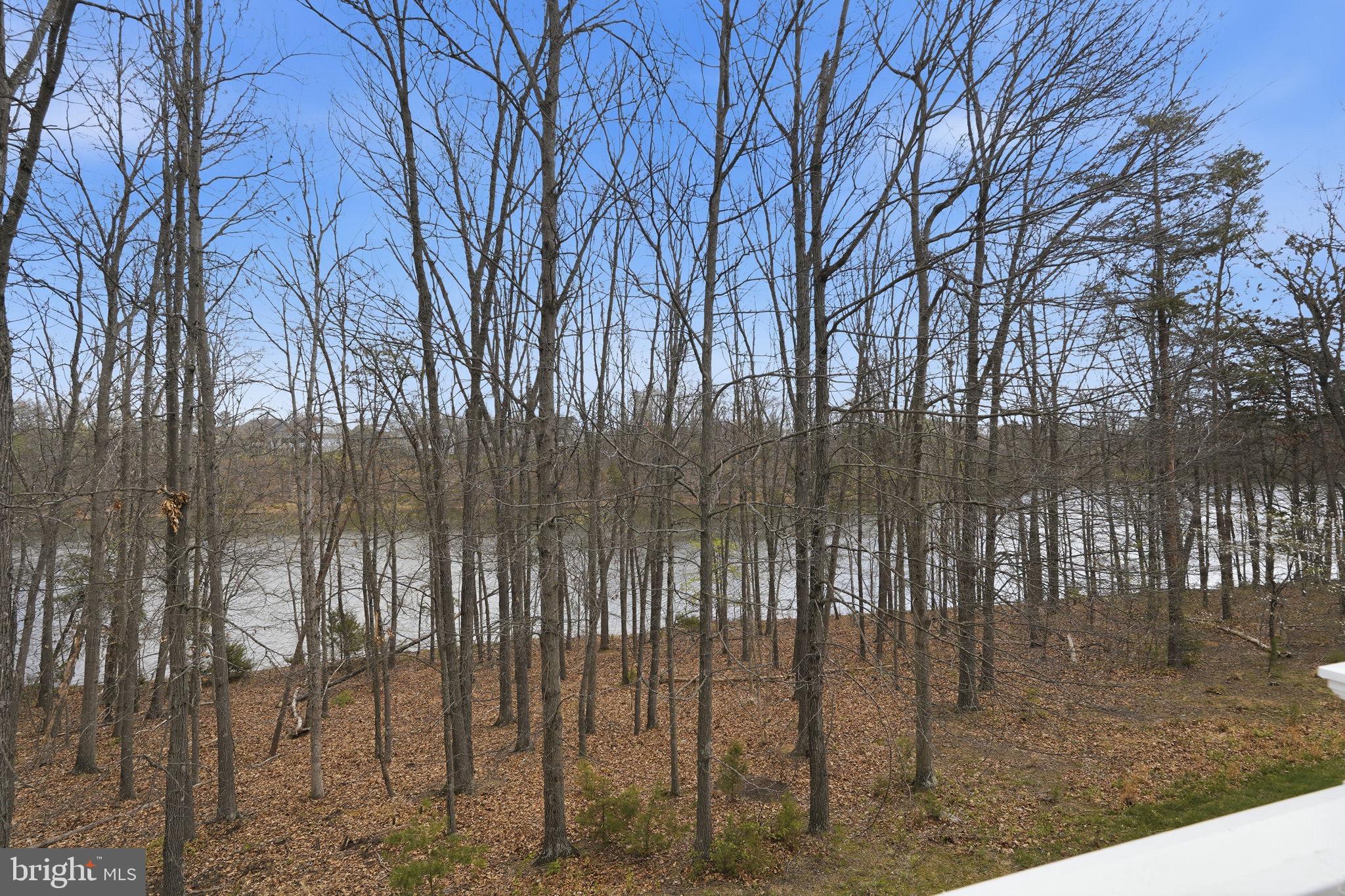 SHENANDOAH, LAKE FREDERICK - Residential