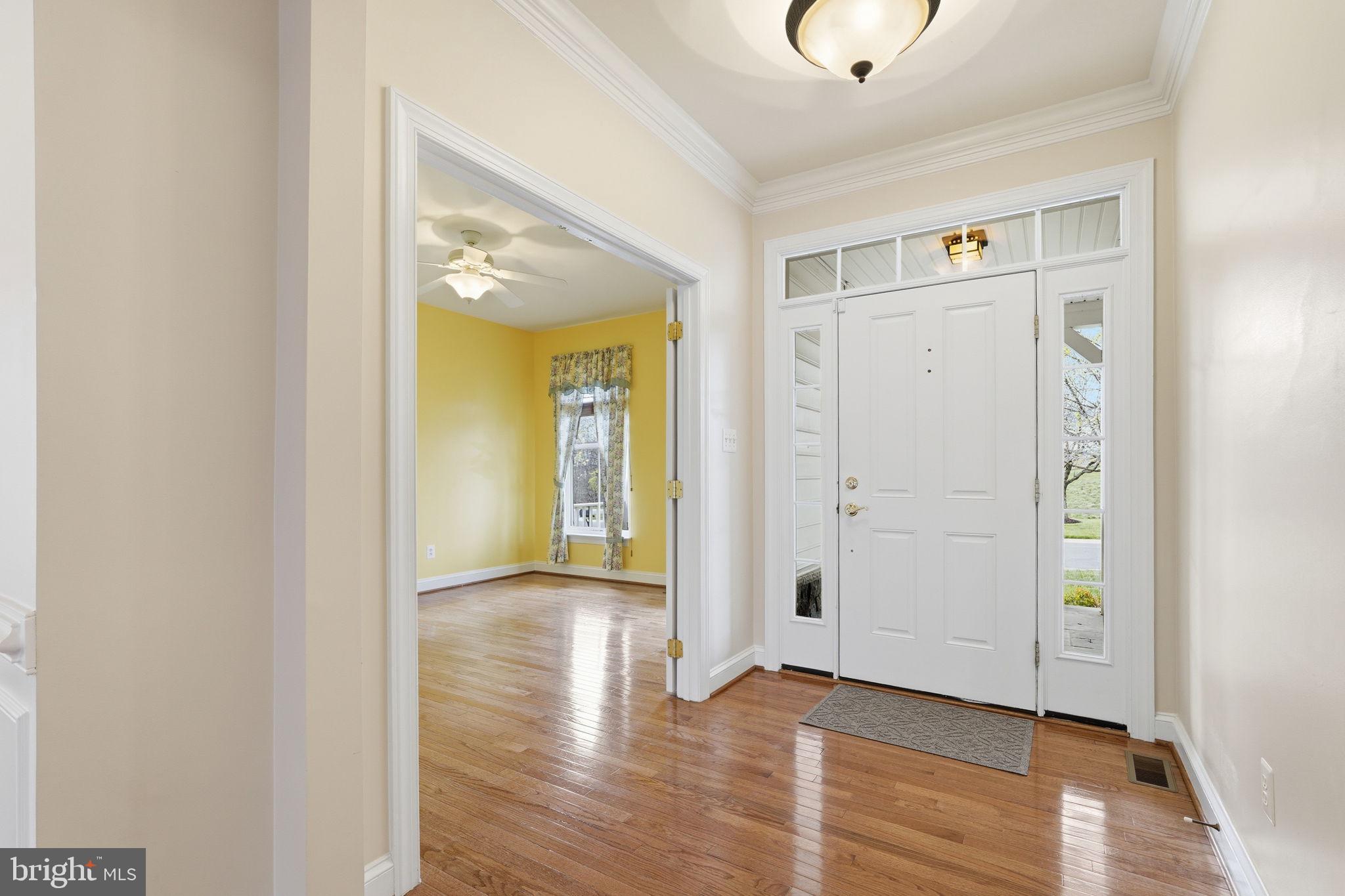 SHENANDOAH, LAKE FREDERICK - Residential