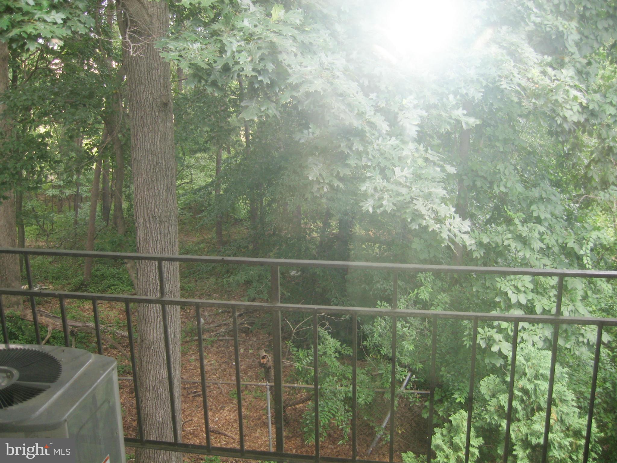 MARYLAND FARMS - Residential Lease