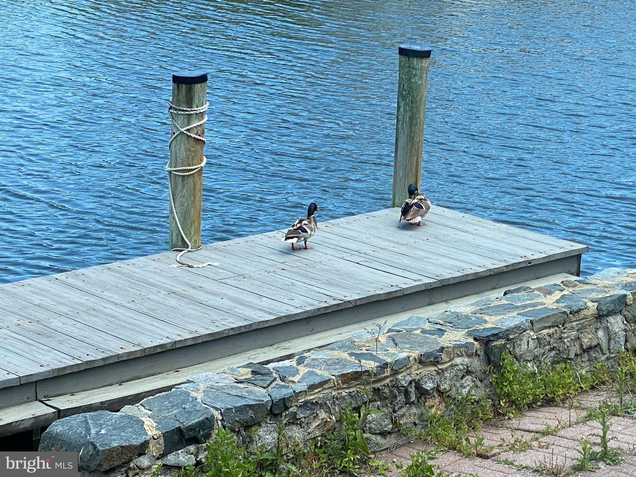 CAPE ISLE OF WIGHT - Residential