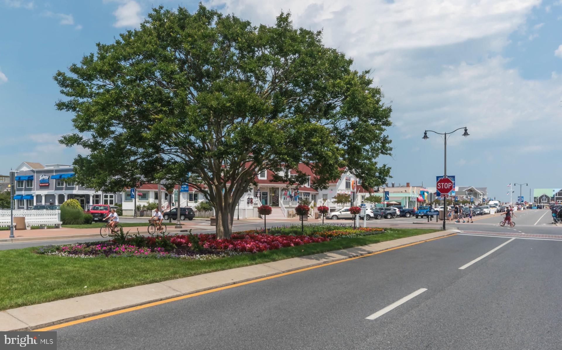 YORK BEACH - Residential