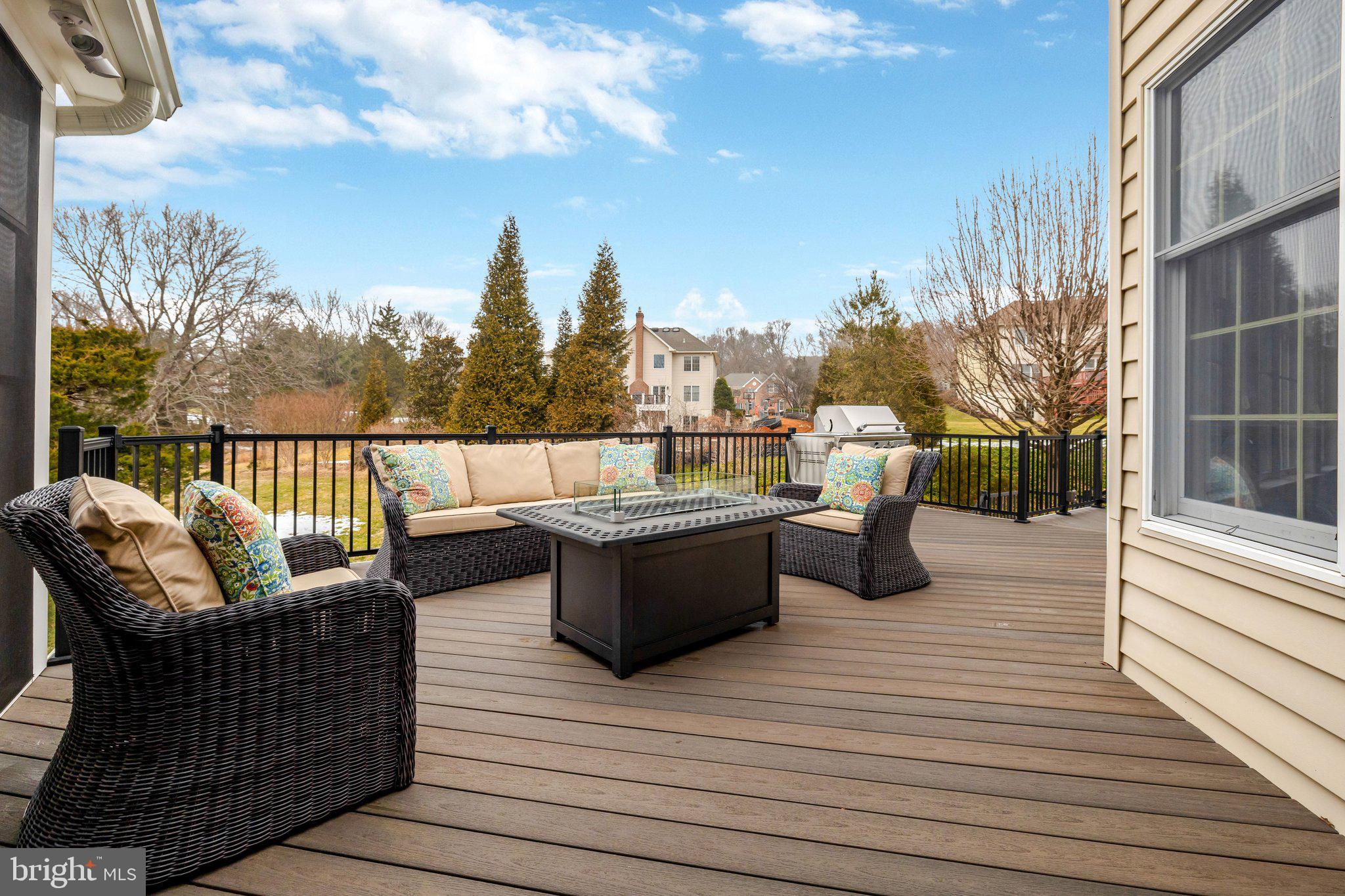 HUNTER MILL ESTATES - Residential