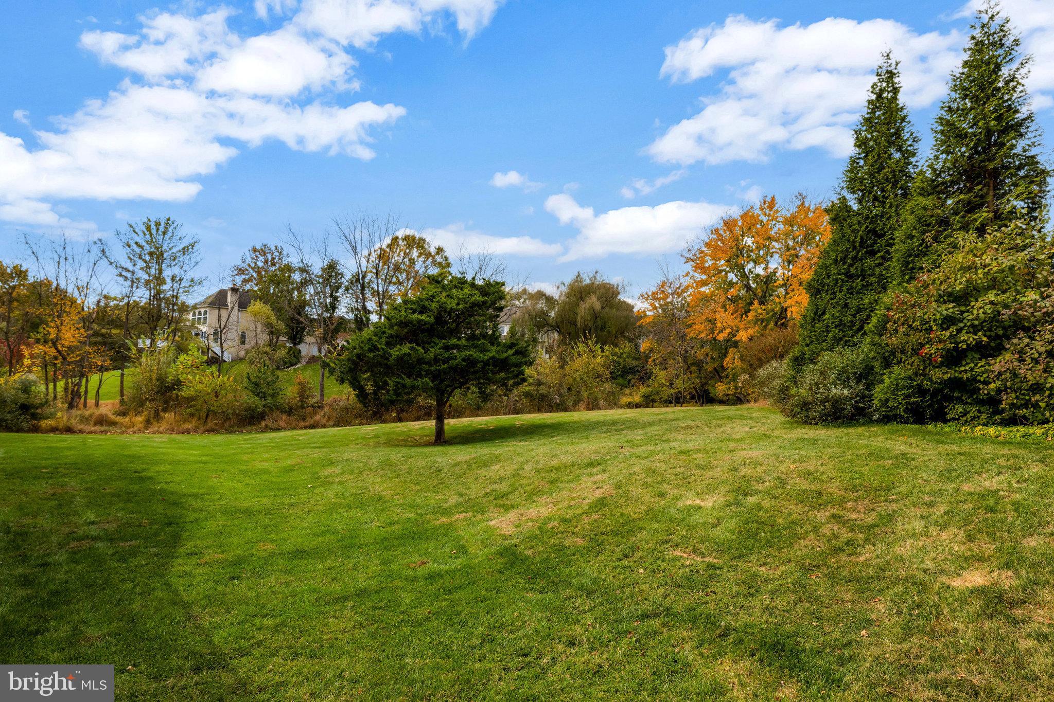 HUNTER MILL ESTATES - Residential