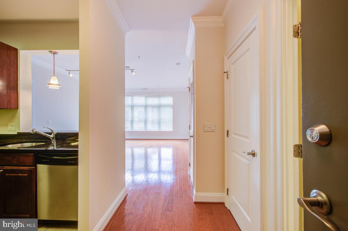 PALLADIAN - Residential