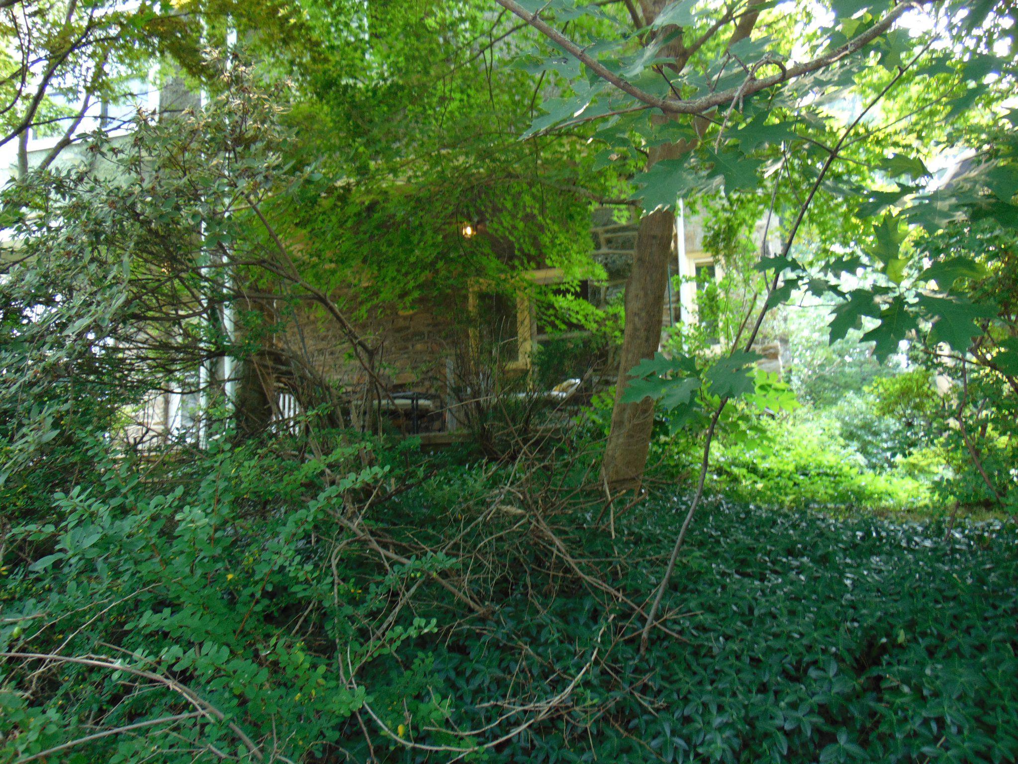 604 EAST ALLENS LANE