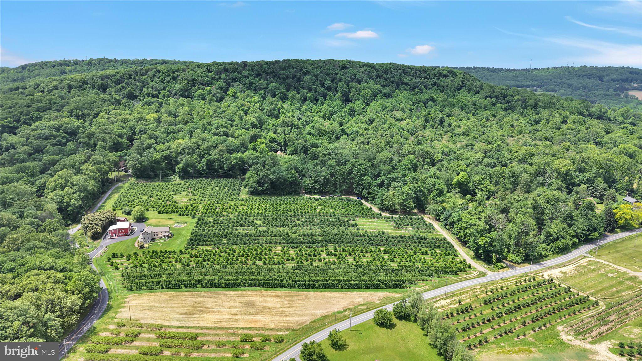 APPLE BLOSSOM ACRES - Residential