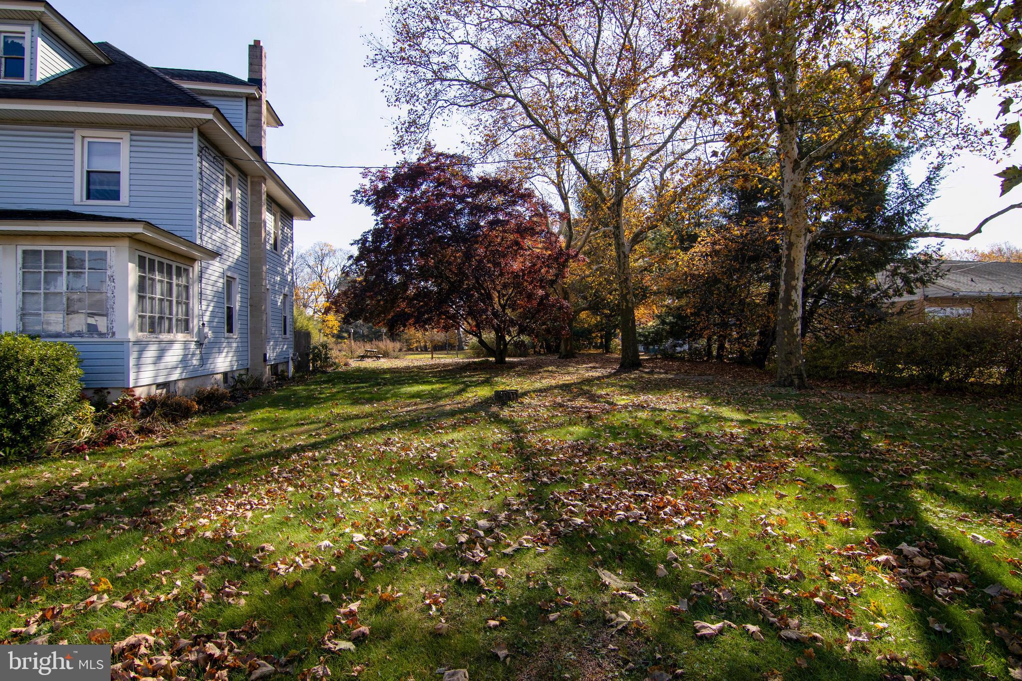 546 WILLIAMSTOWN ROAD