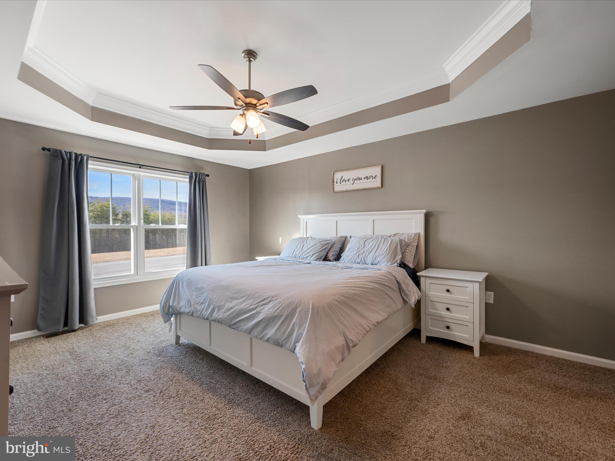 CHESTNUT HILL ESTATES - Residential