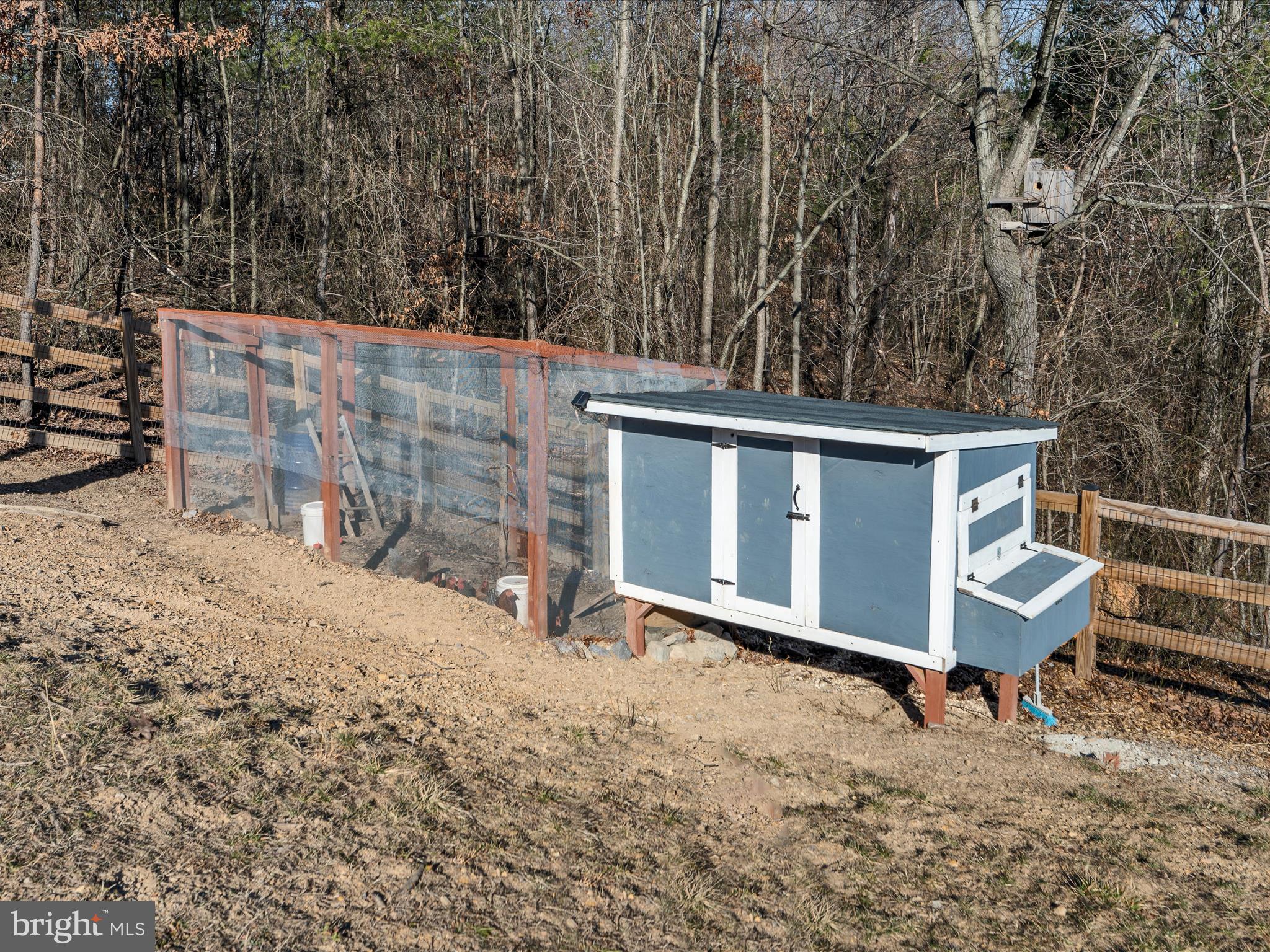 CHESTNUT HILL ESTATES - Residential