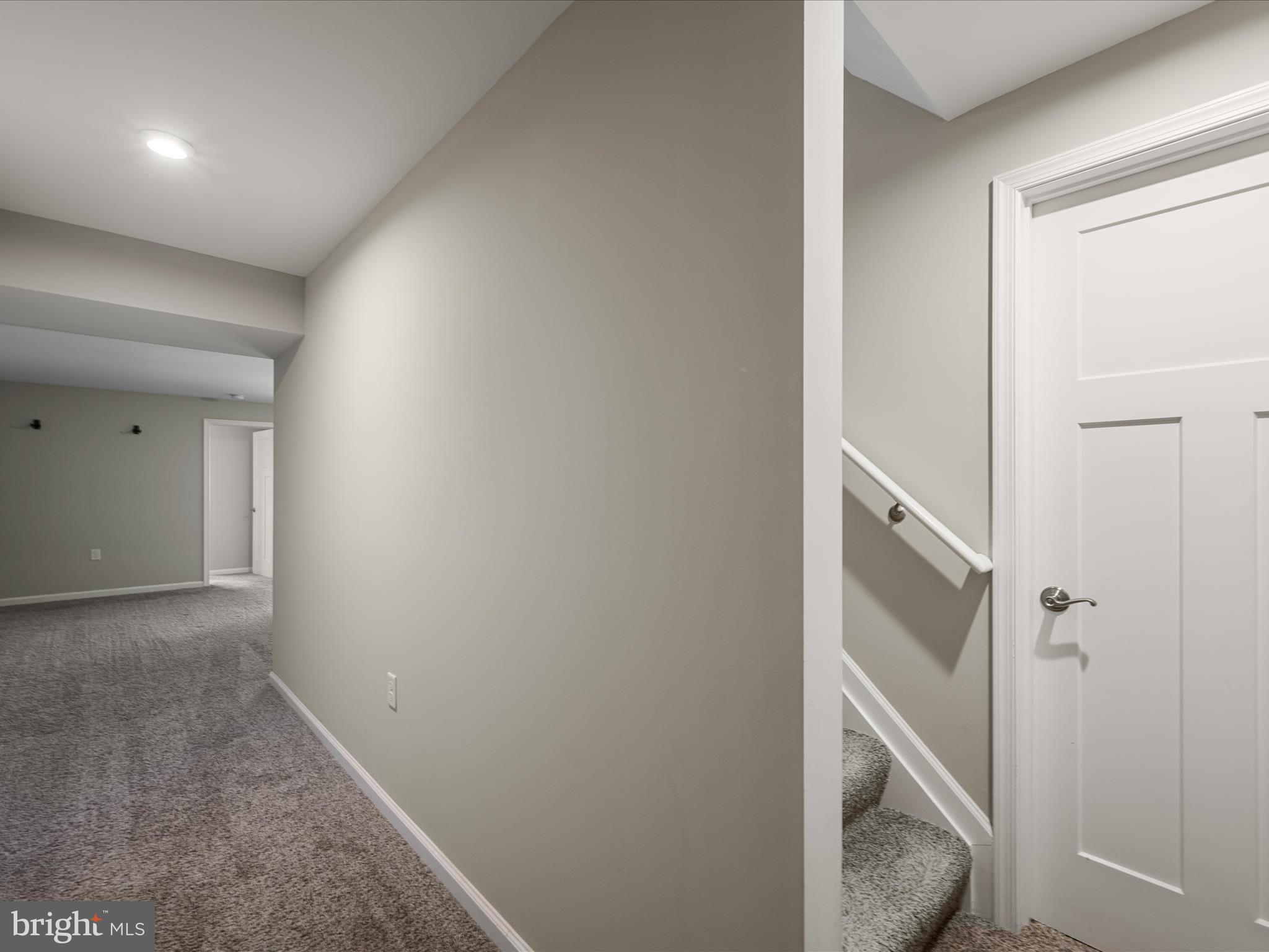 CHESTNUT HILL ESTATES - Residential