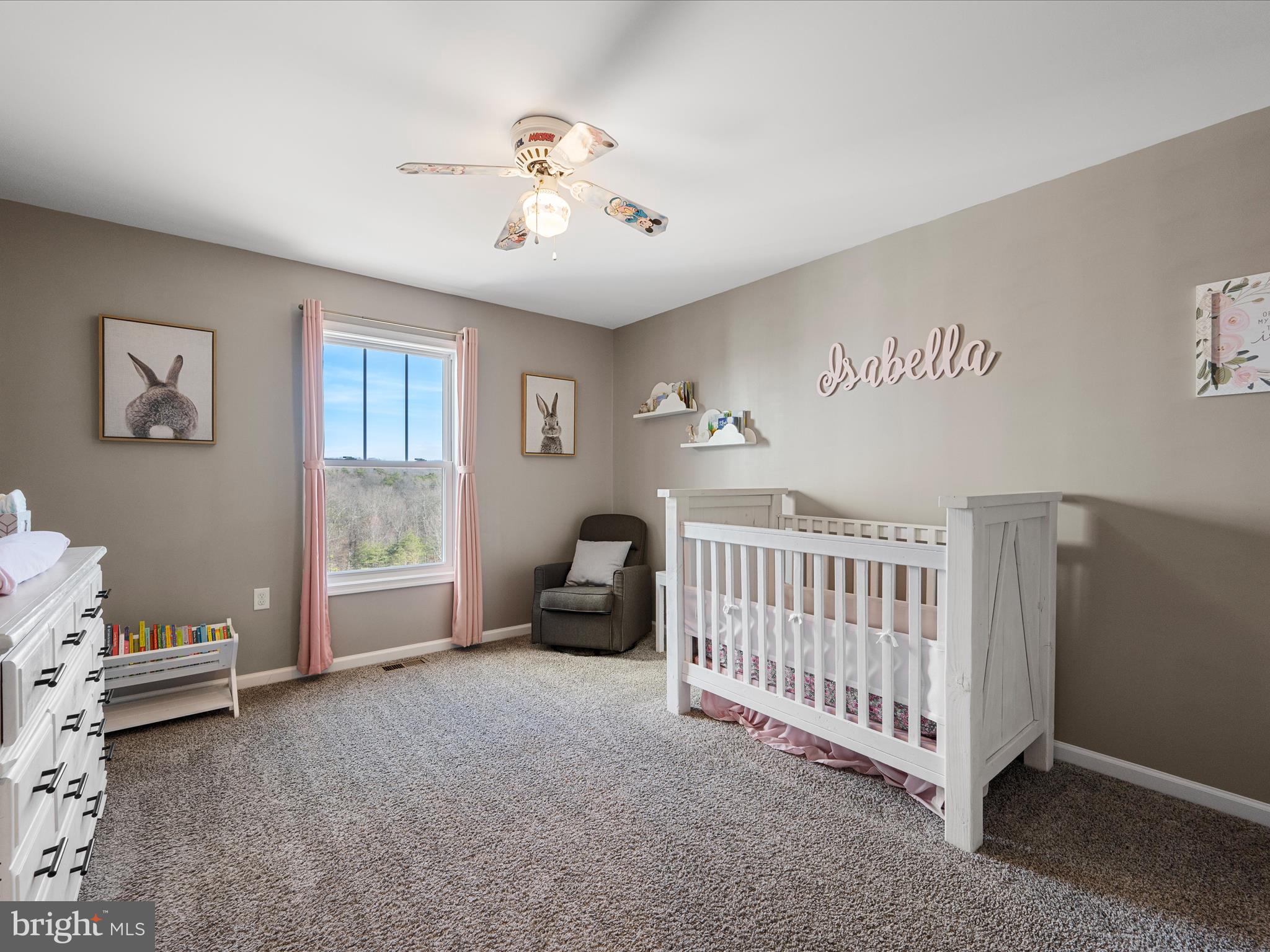 CHESTNUT HILL ESTATES - Residential