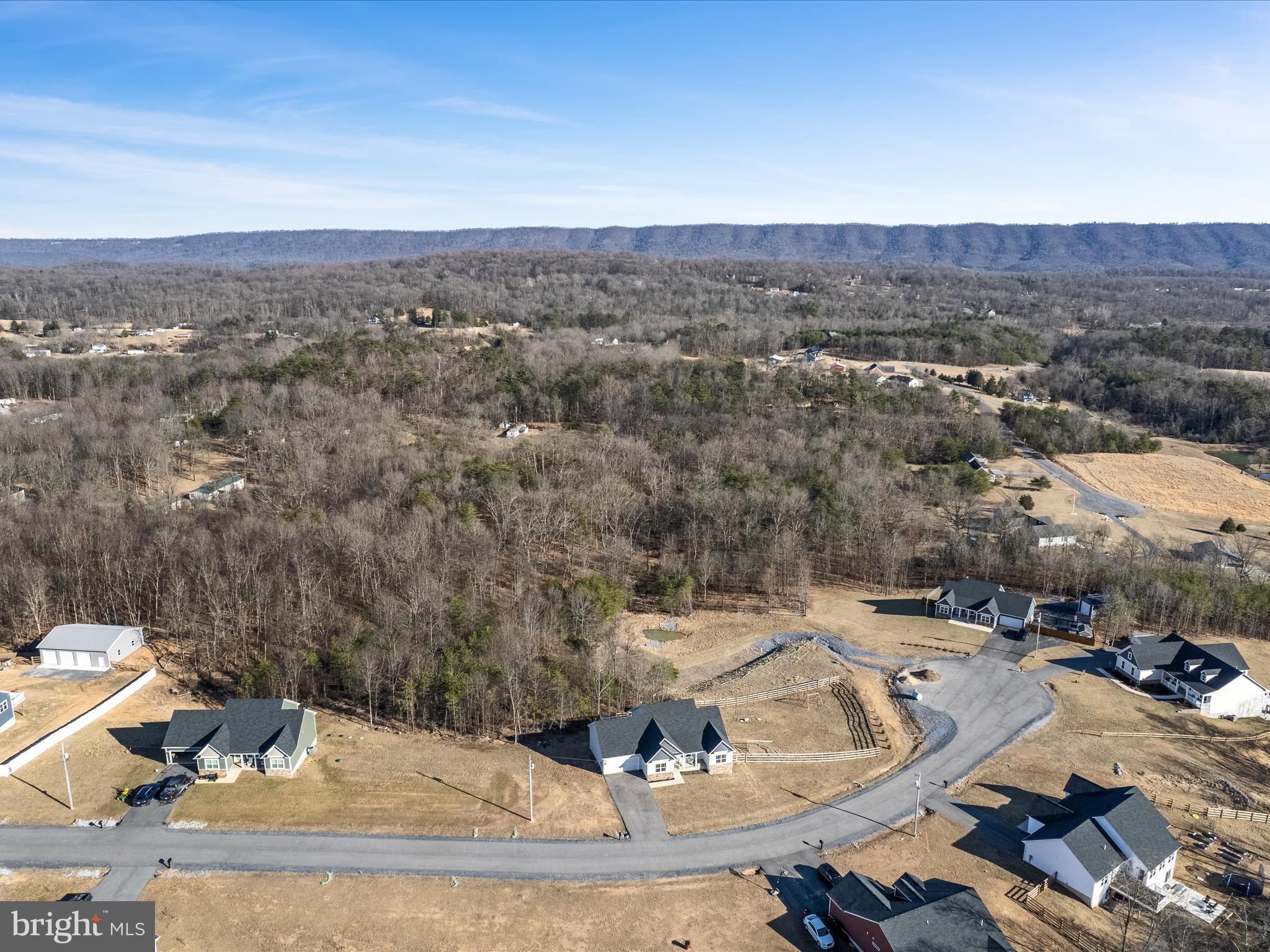 CHESTNUT HILL ESTATES - Residential