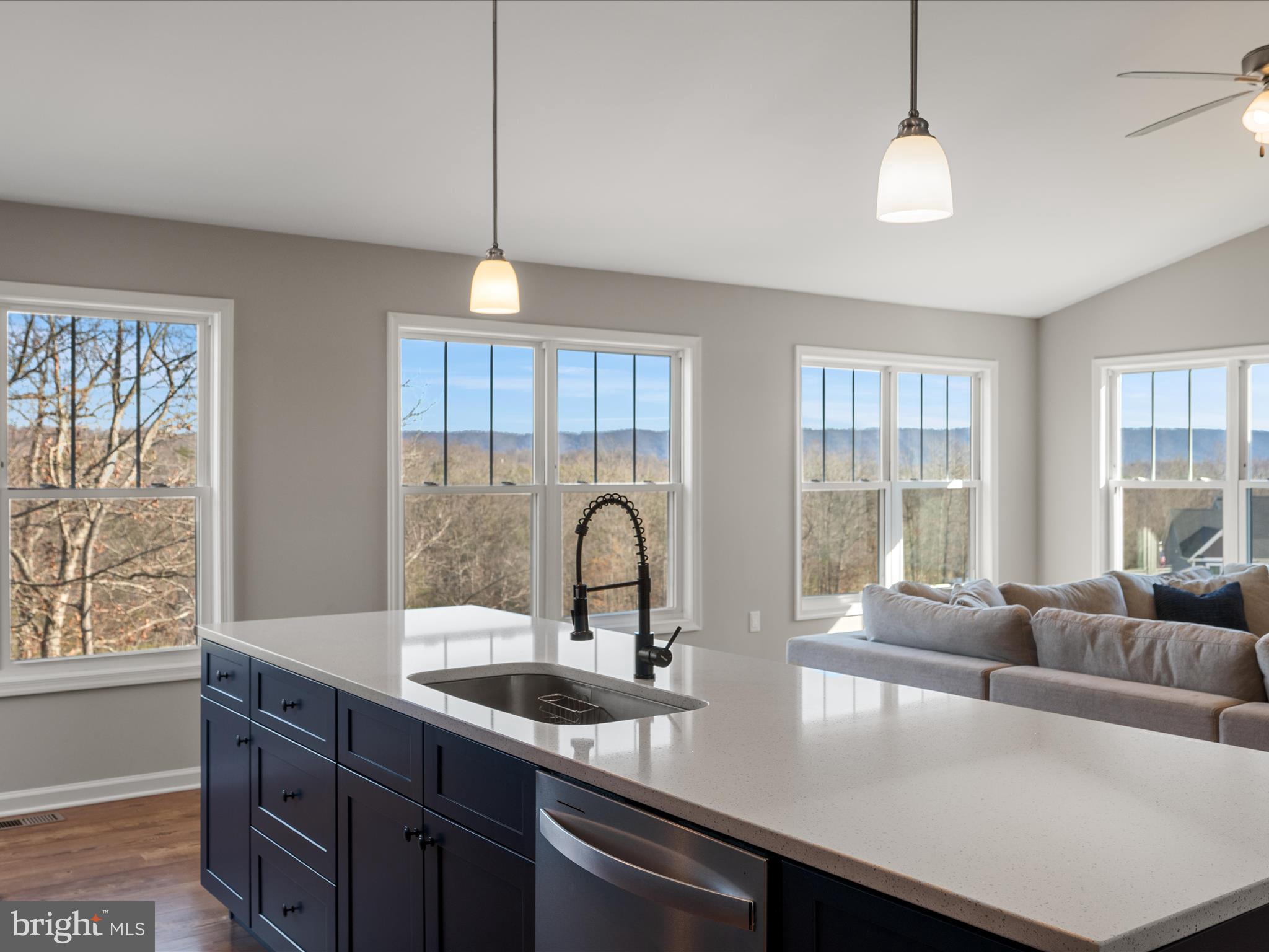 CHESTNUT HILL ESTATES - Residential