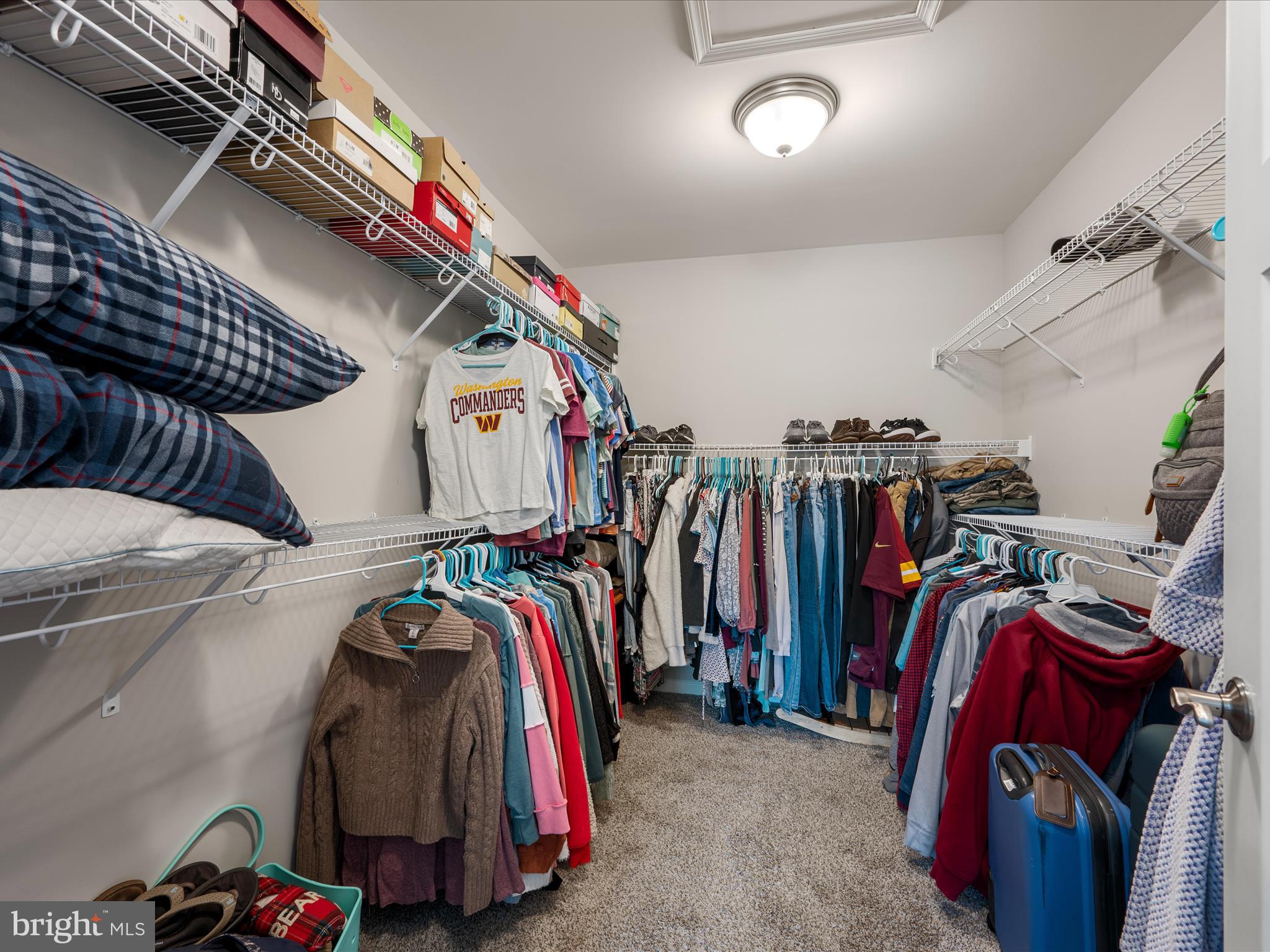 CHESTNUT HILL ESTATES - Residential