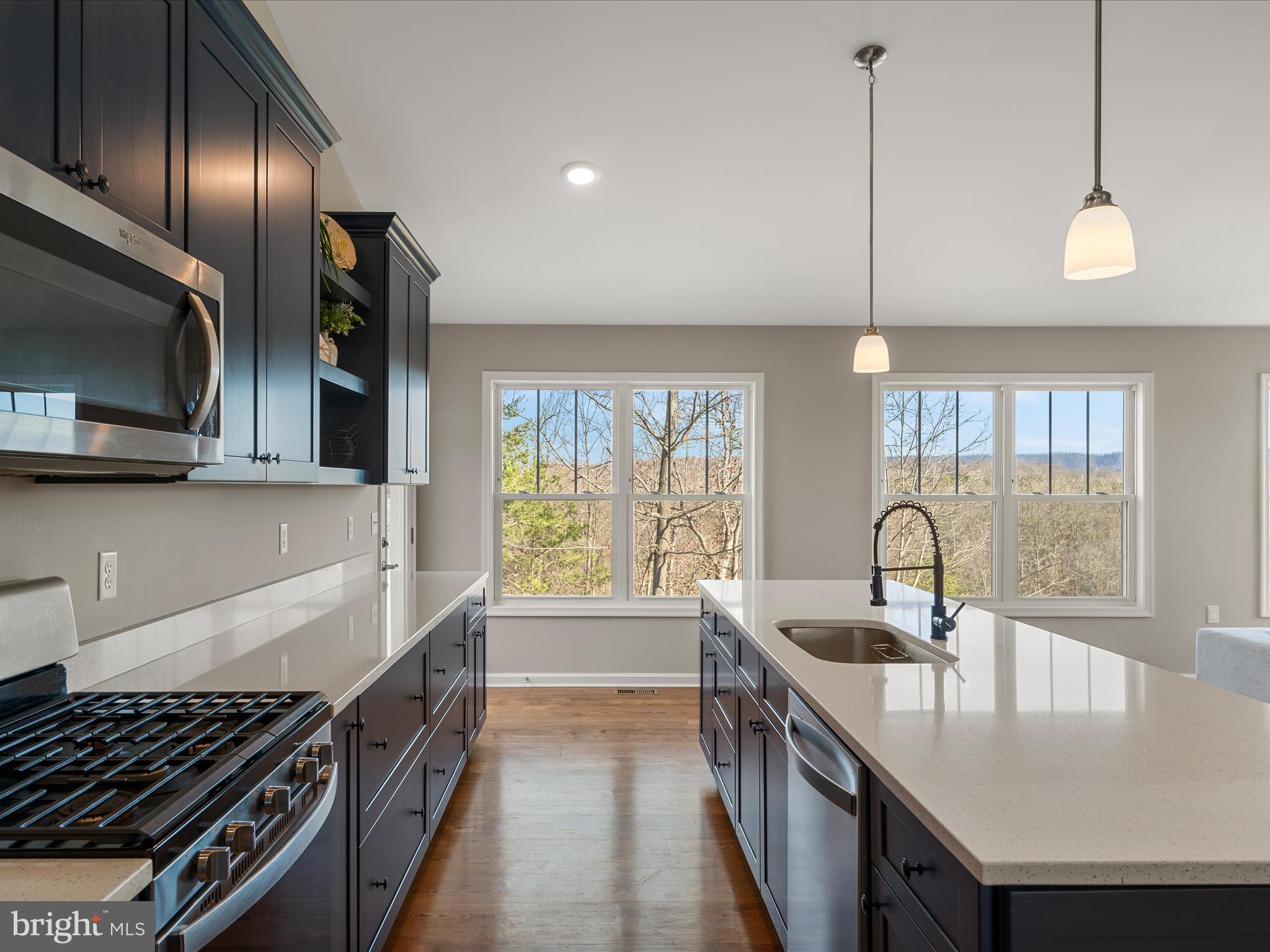 CHESTNUT HILL ESTATES - Residential